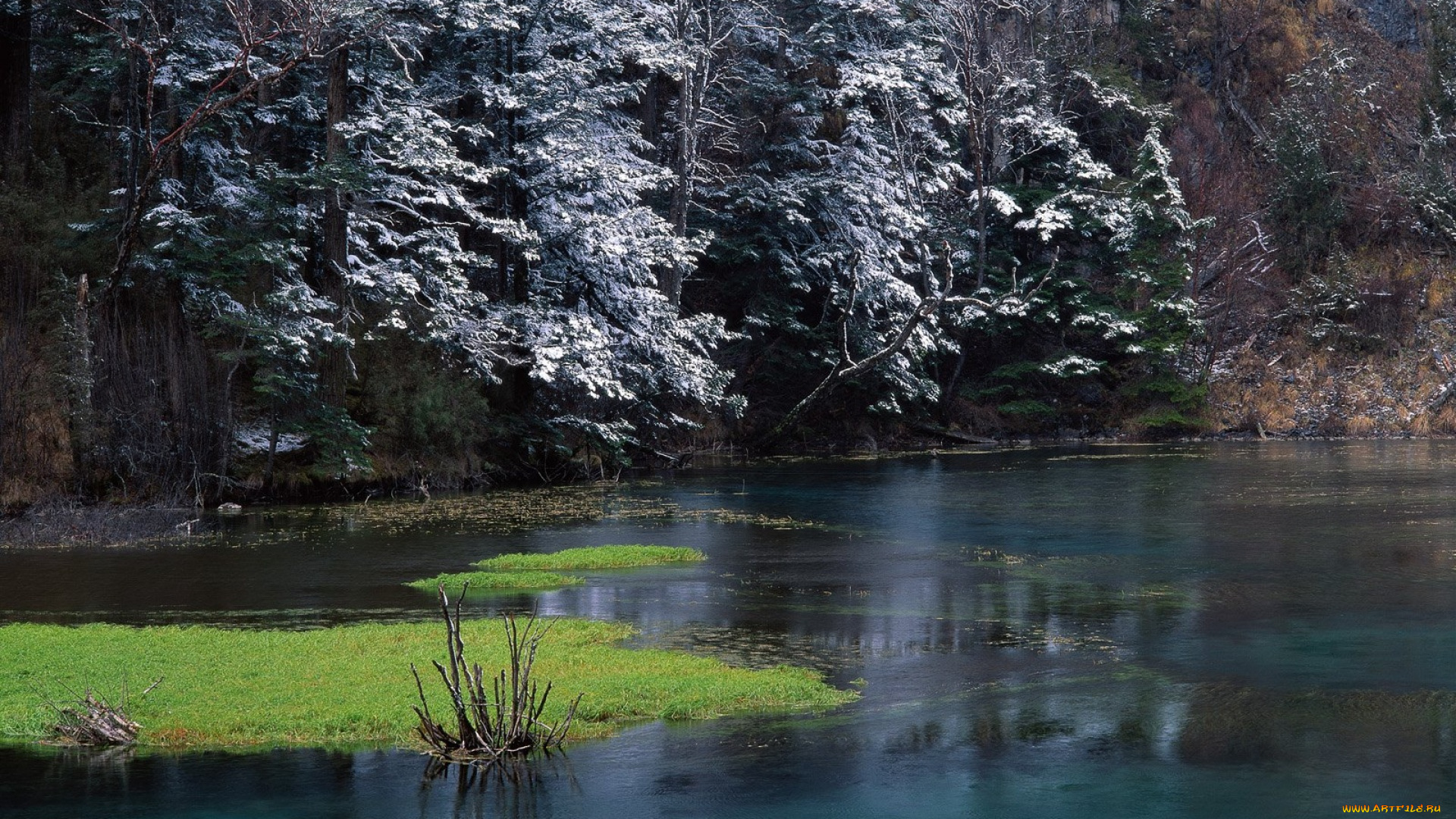 природа, реки, озера