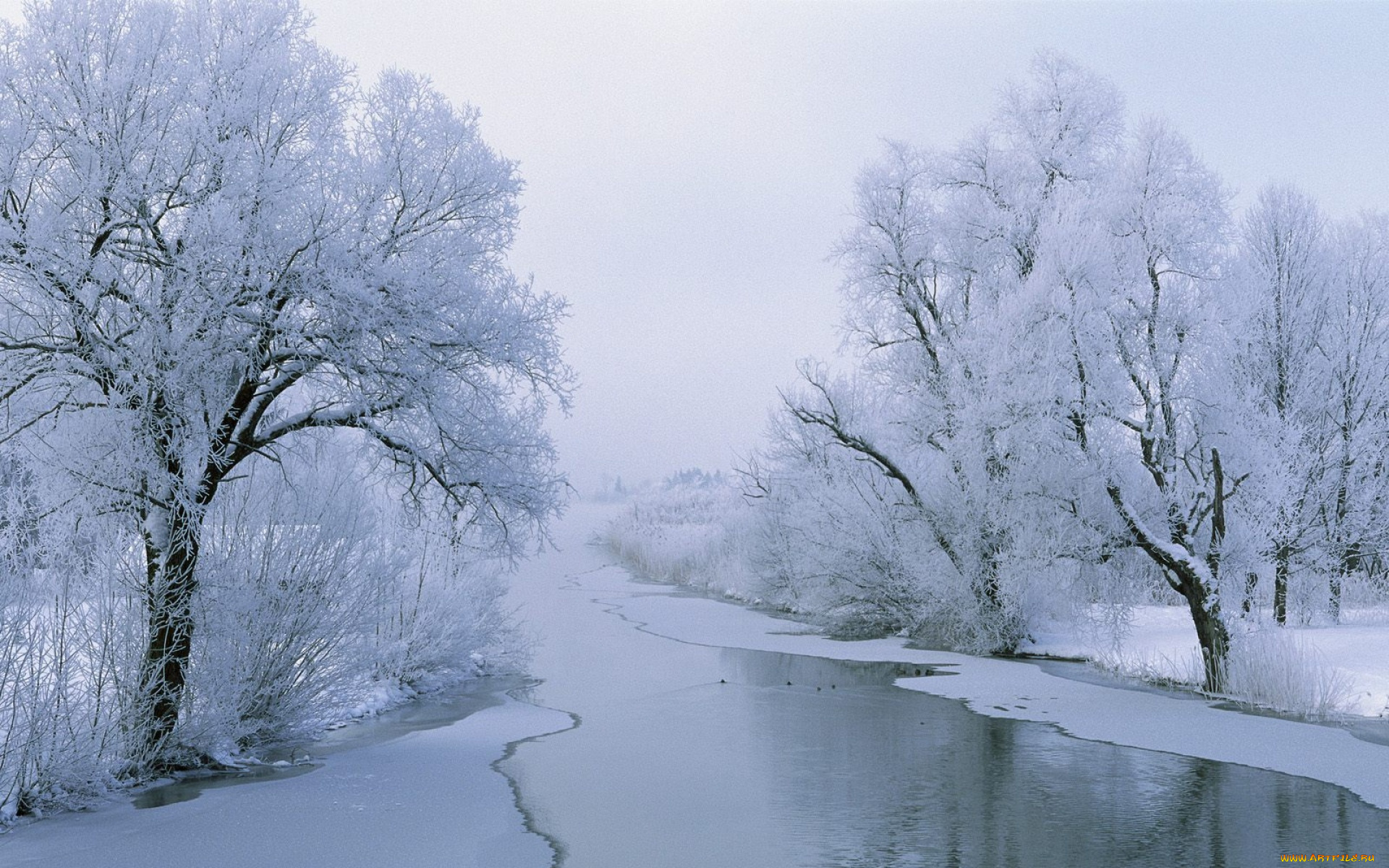 природа, зима