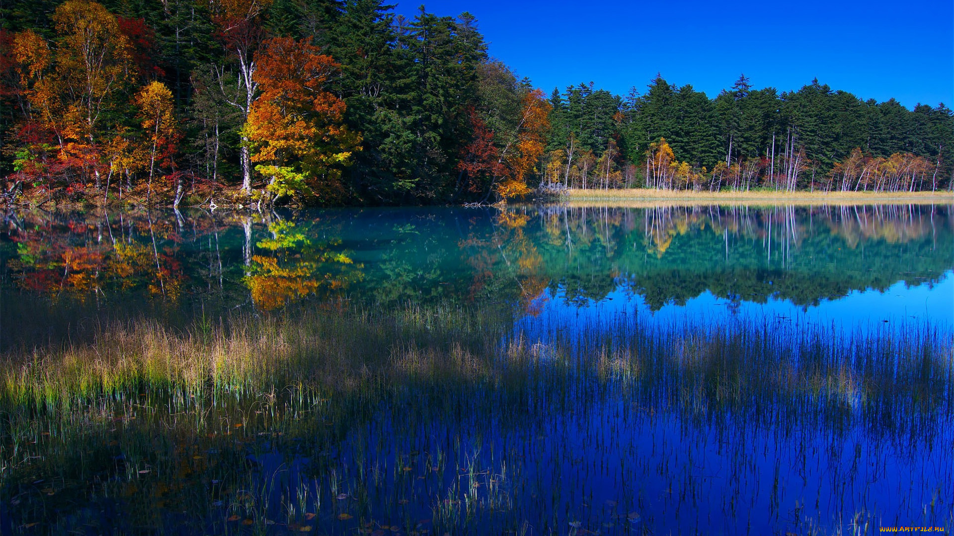 природа, реки, озера, осень, лес, озеро, трава, отражение