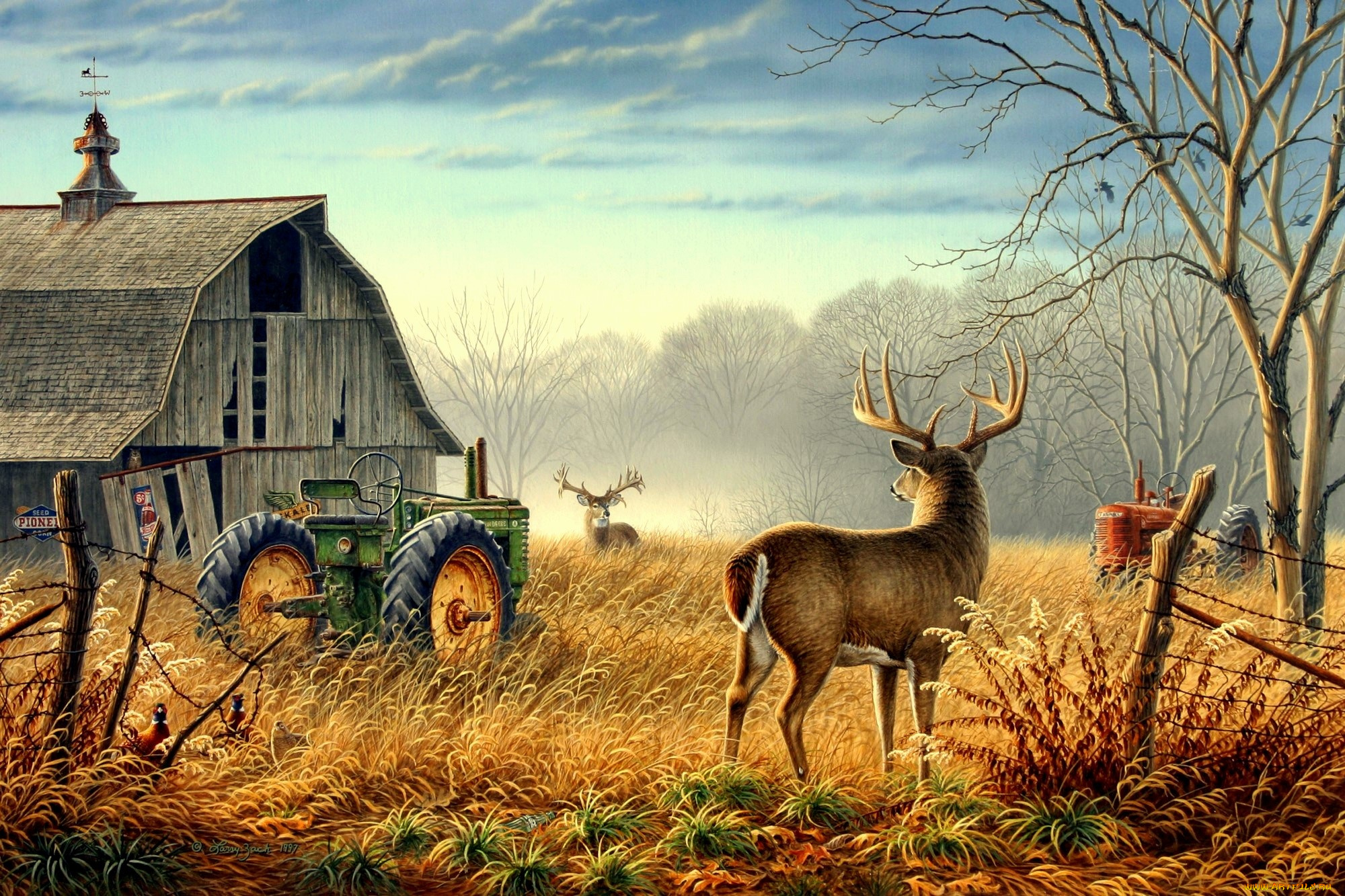 рисованные, животные, осень, олень, трактор