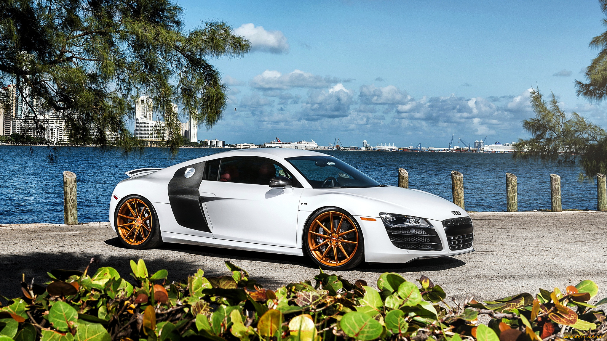 audi, r8, автомобили, audi, легковые, германия, концерн, volkswagen, group, ag