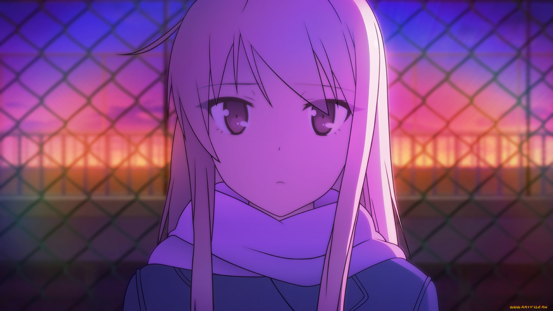 аниме, sakurasou, no, pet, na, kanojo, shiina, mashiro