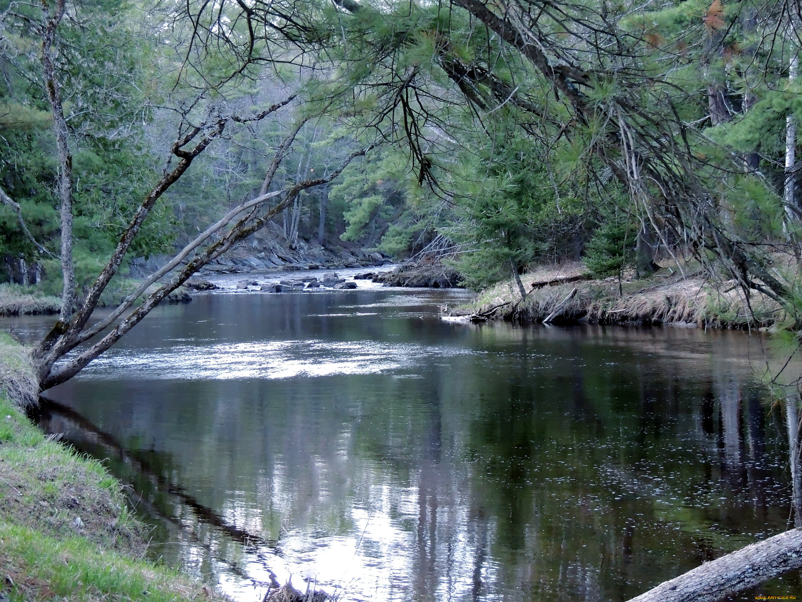 природа, реки, озера, вода, река, отражение