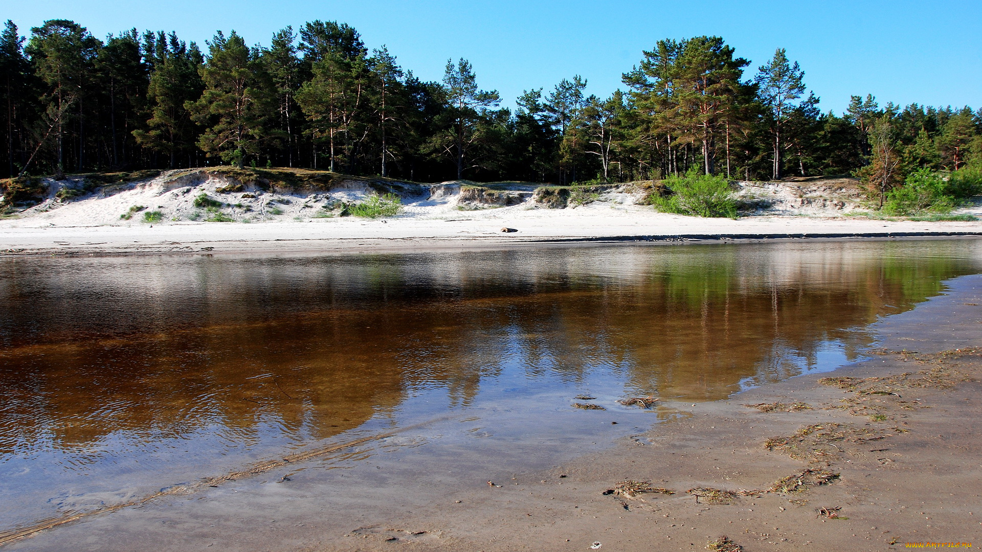 природа, реки, озера, латвия, little, river, go, to, baltic, sea