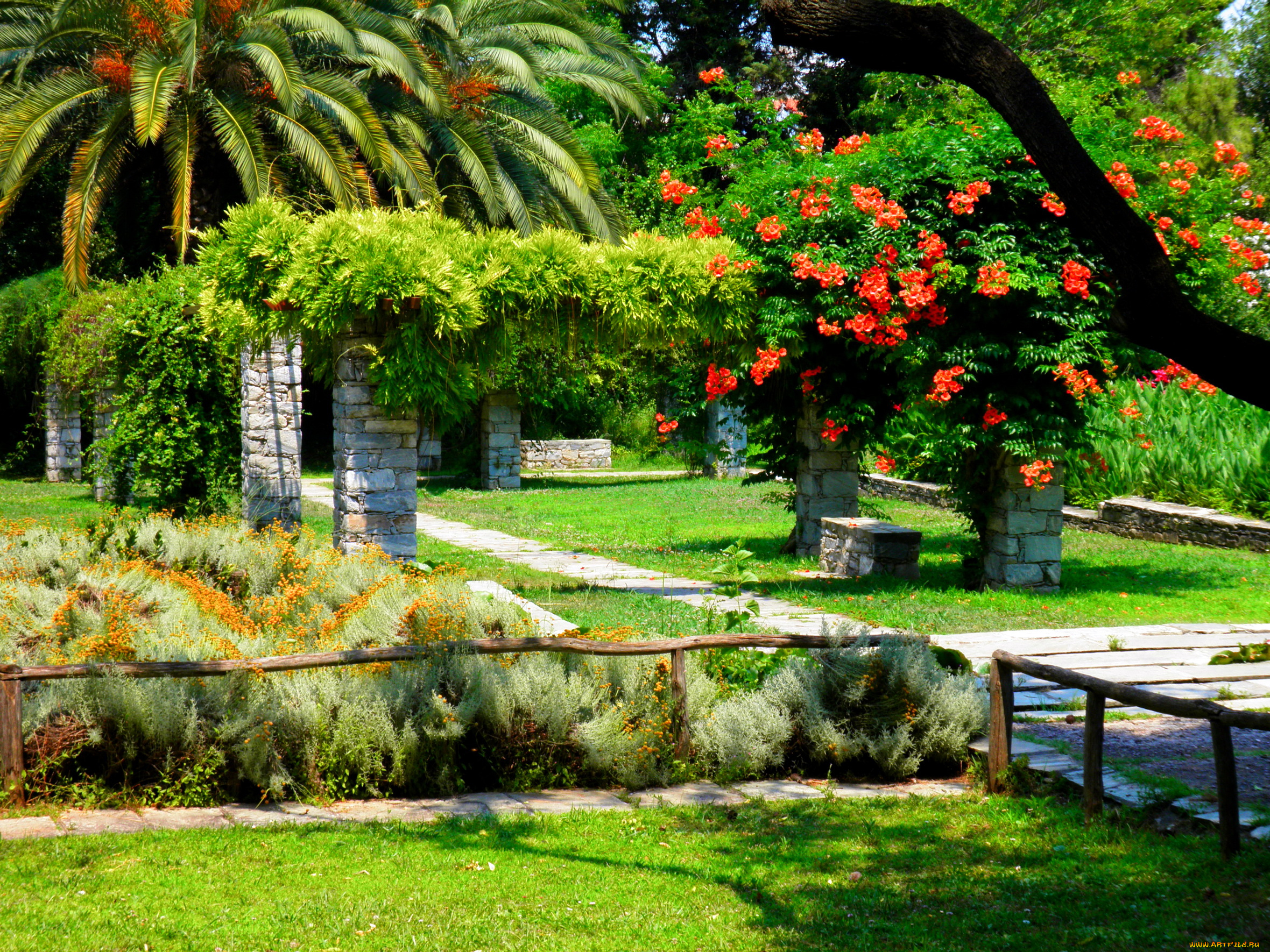 природа, парк, пальмы, кусты, цветы