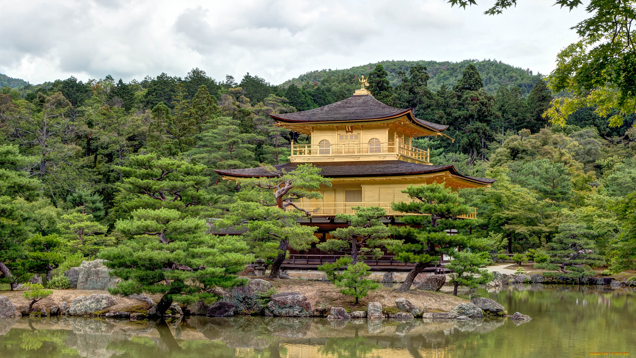kinkaku-ji, temple, in, kyoto, , japan, города, киото, , Япония, храм, водоем, парк