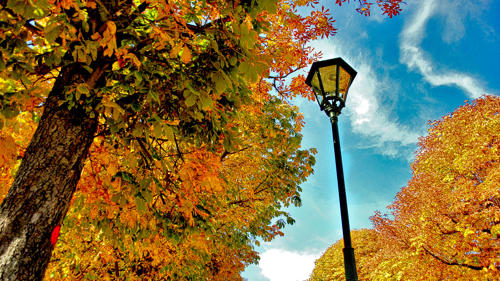 природа, парк, фонарь, осень