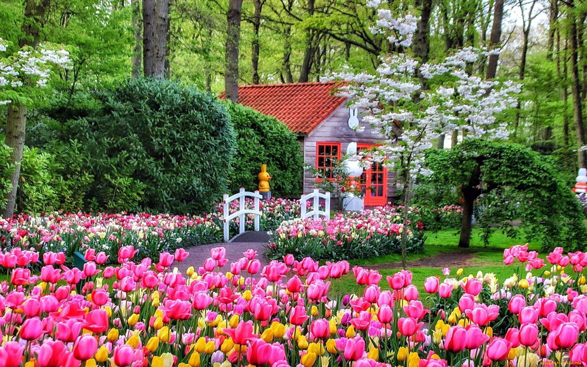 keukenhof, park, netherlands, города, -, здания, , дома, keukenhof, park