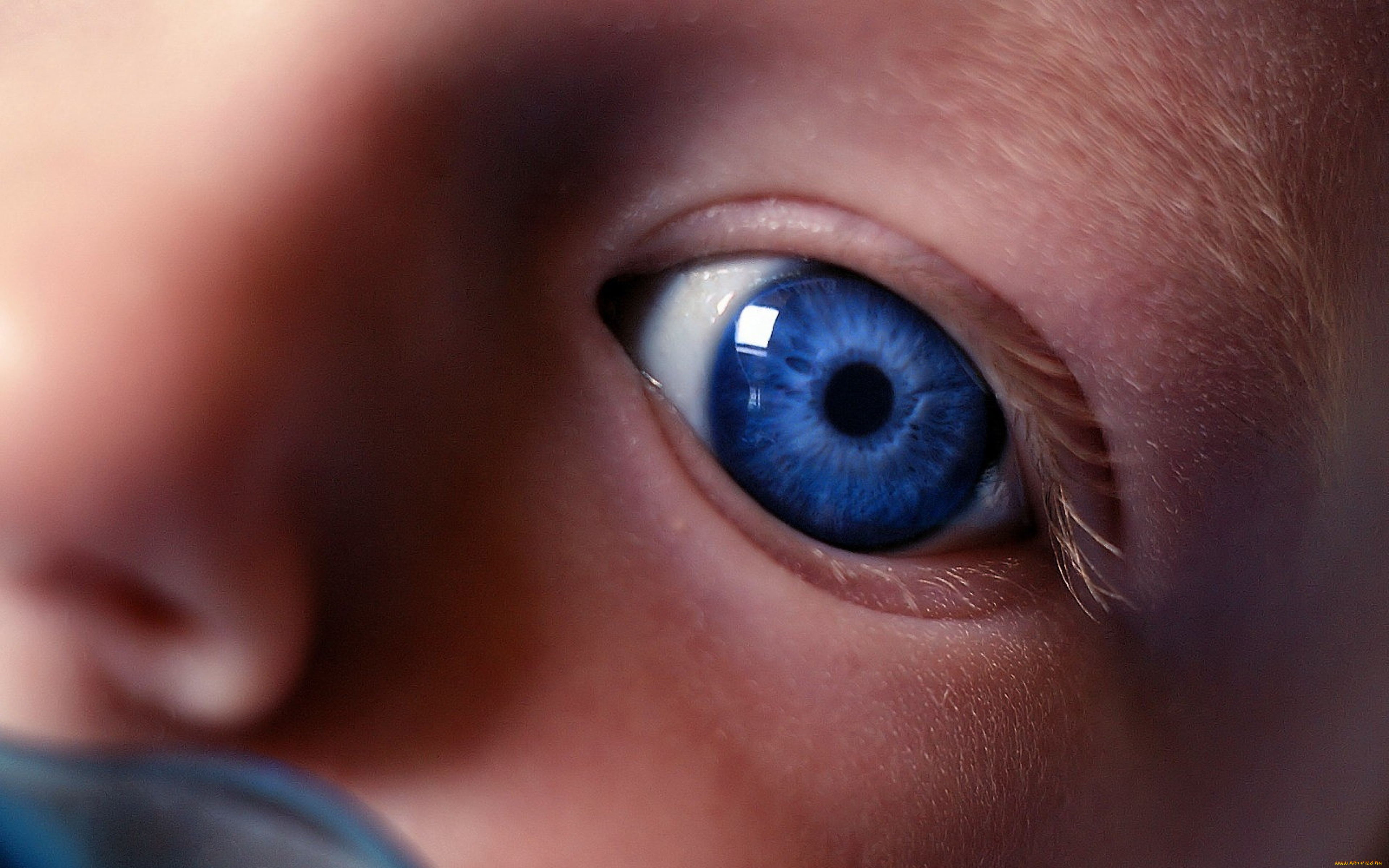 Почему у ребенка голубые глаза. Темно синие глаза. Ярко синие глаза. Темно синий цвет глаз. Глаза ребенка.