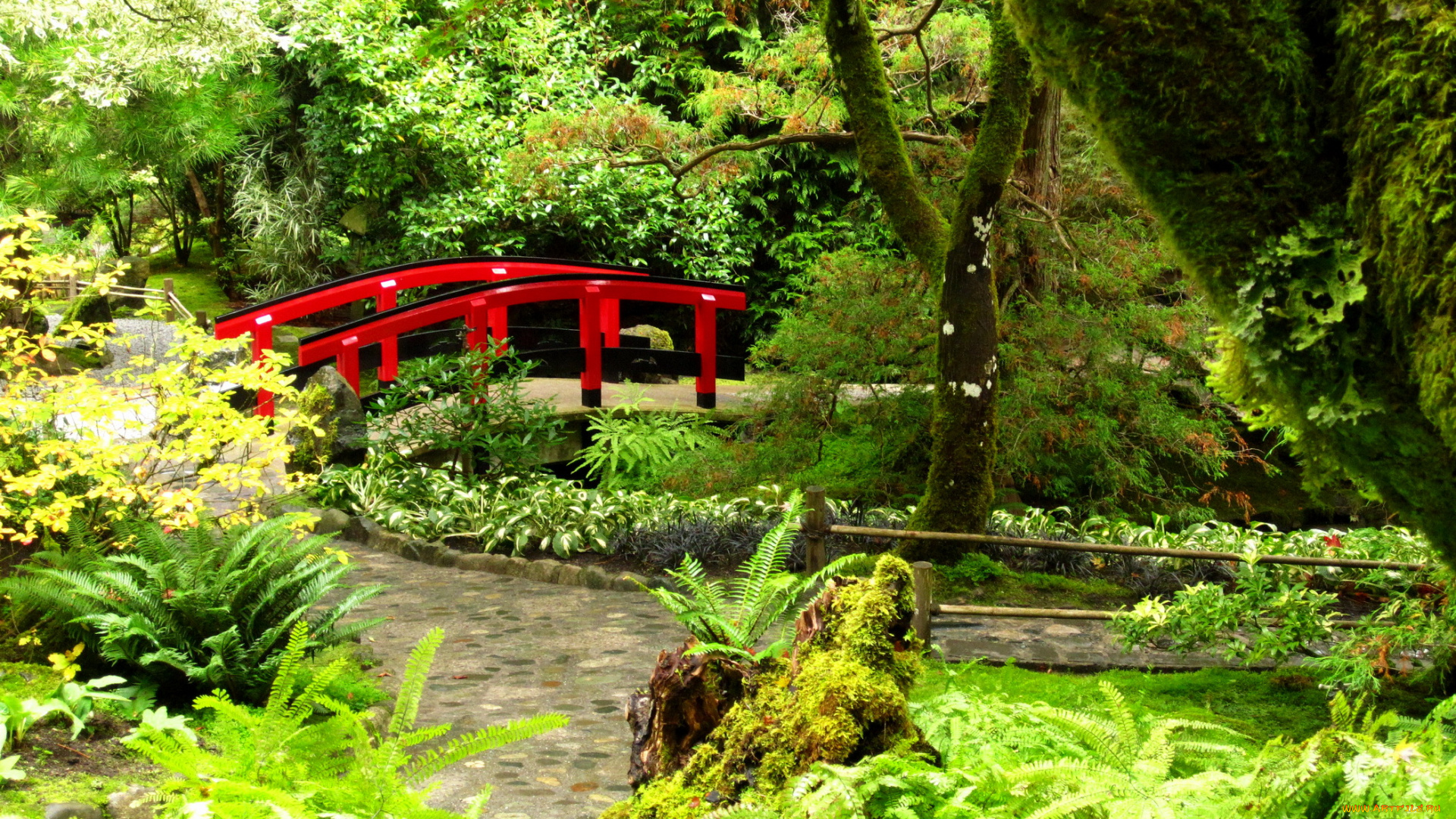 butchart, gardens, victoria, канада, природа, парк, мостик, деревья, дорожки, japanese