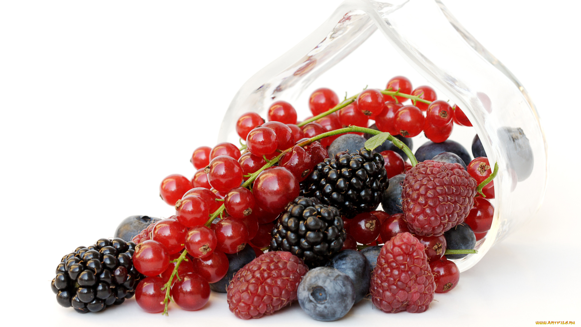 еда, фрукты, ягоды, ежевика, малина, голубика, красная, смородина