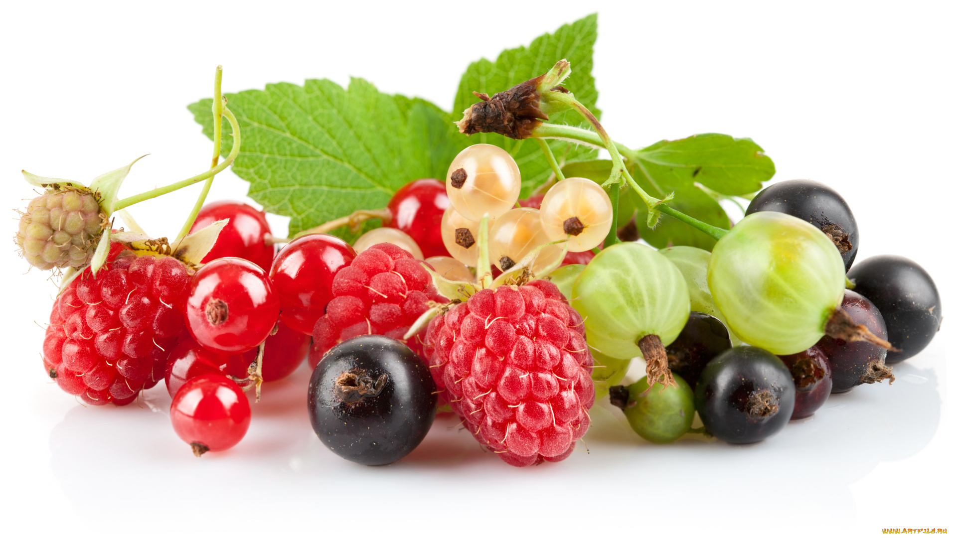 еда, фрукты, ягоды, малина, белая, смородина, красная, крыжовник, чёрная