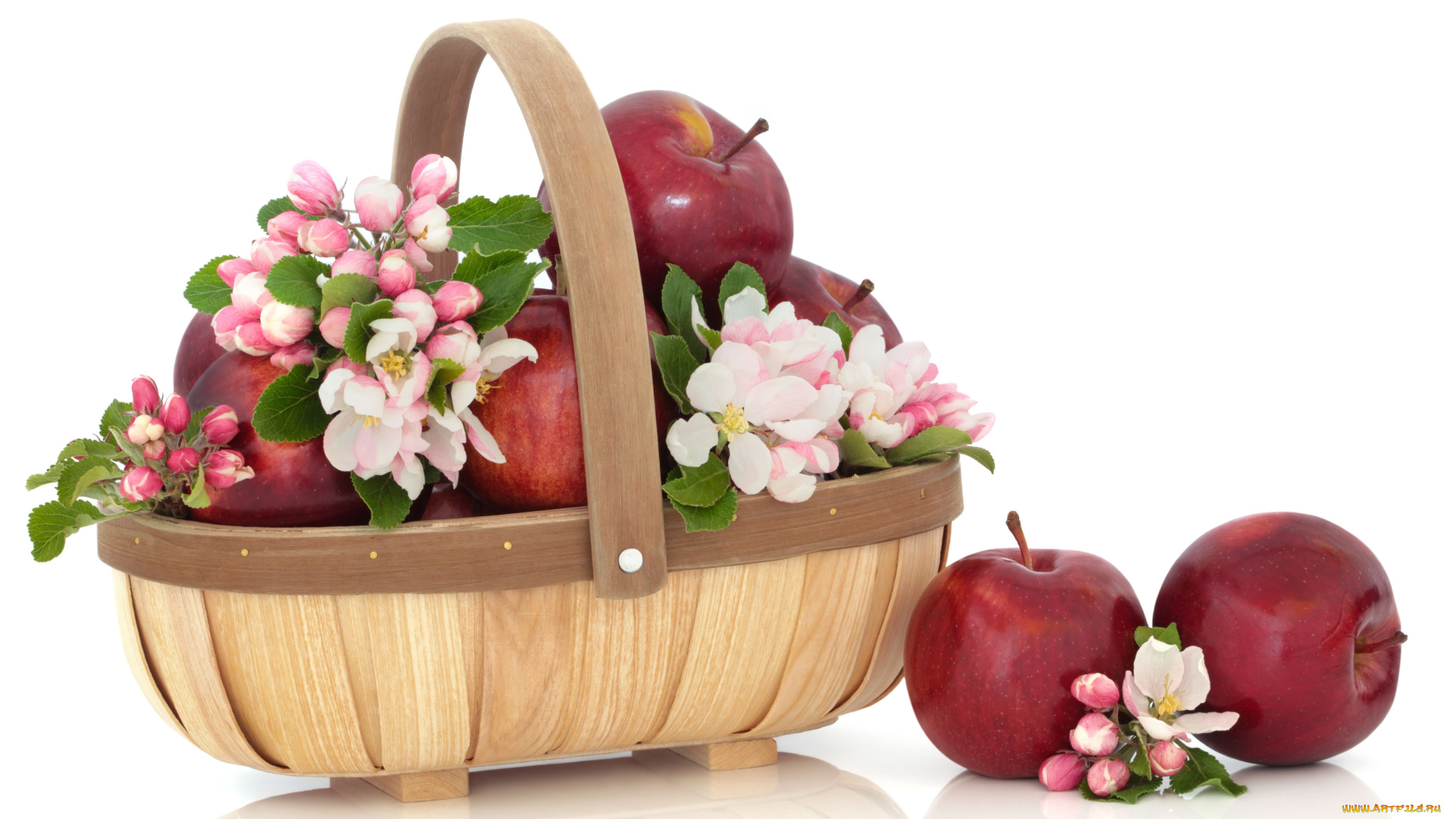 еда, Яблоки, цветы, яблони, корзинка, красные, яблоки