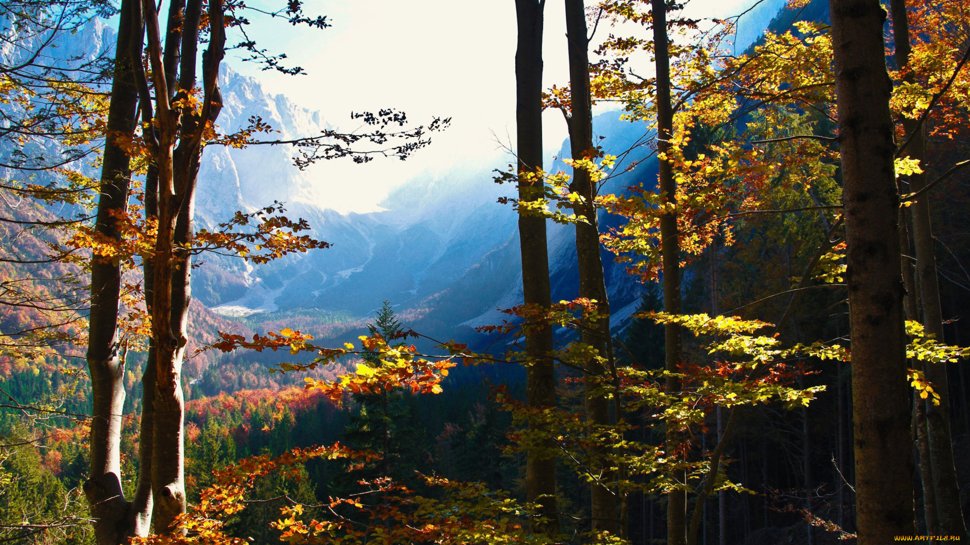 природа, деревья, горы, лес, осень