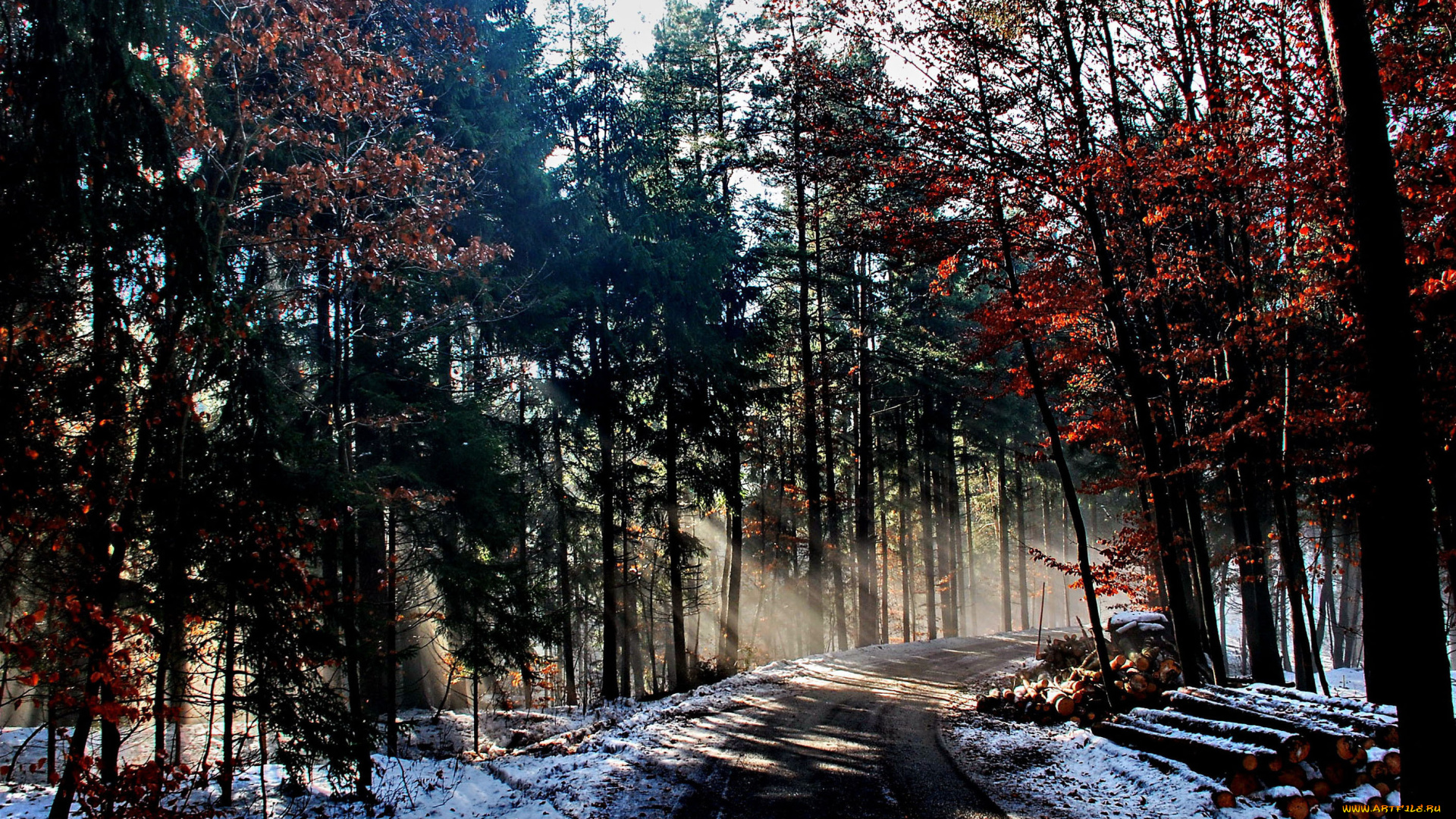 природа, дороги, свет, лучи, дорога, лес, зима