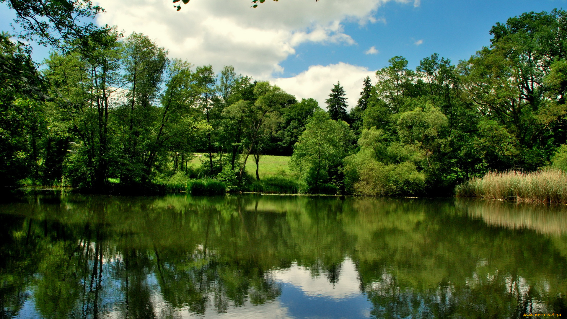 природа, реки, озера, belgium, lake, bierleux