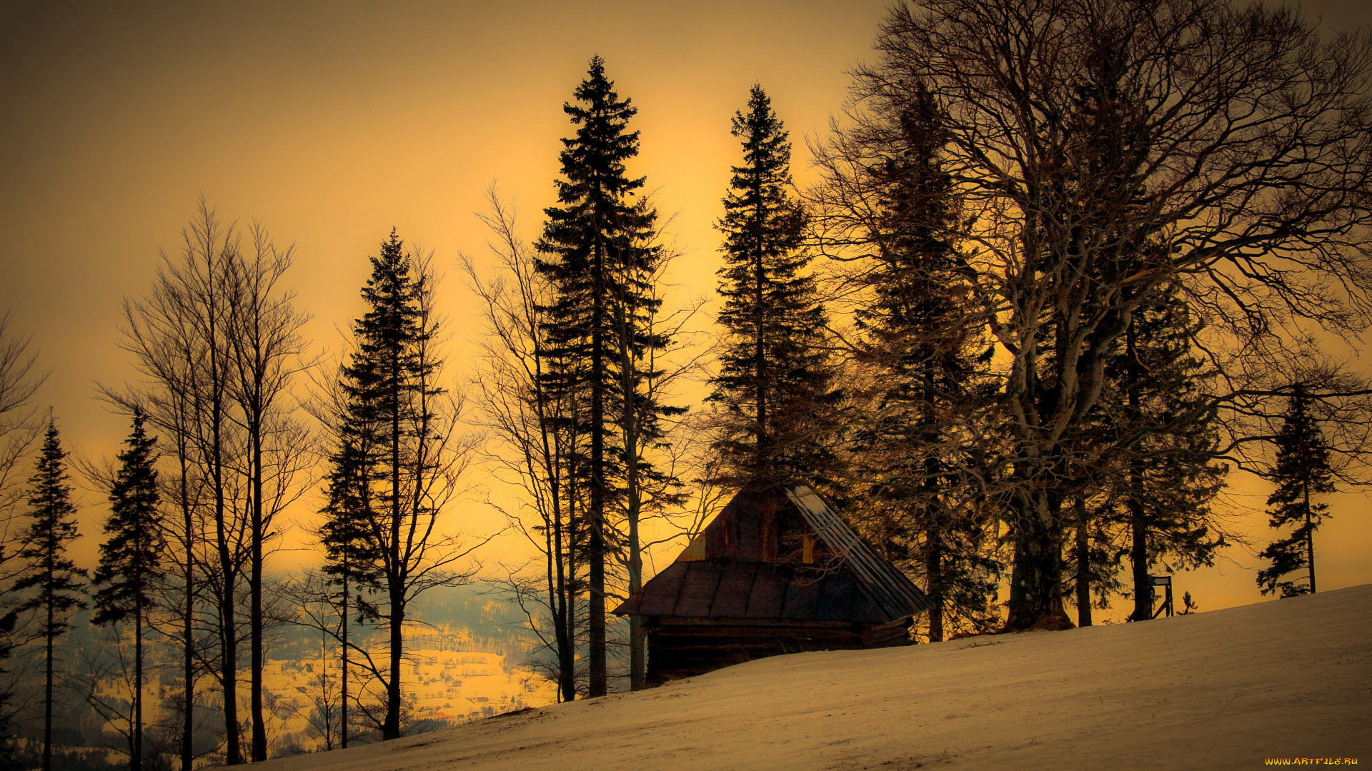 природа, зима, дом, деревья