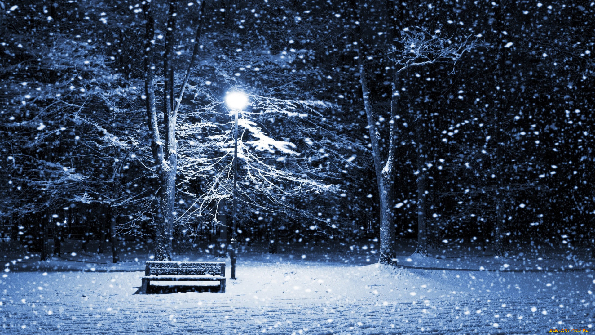 природа, зима, ночь, улица, фонарь, аптека
