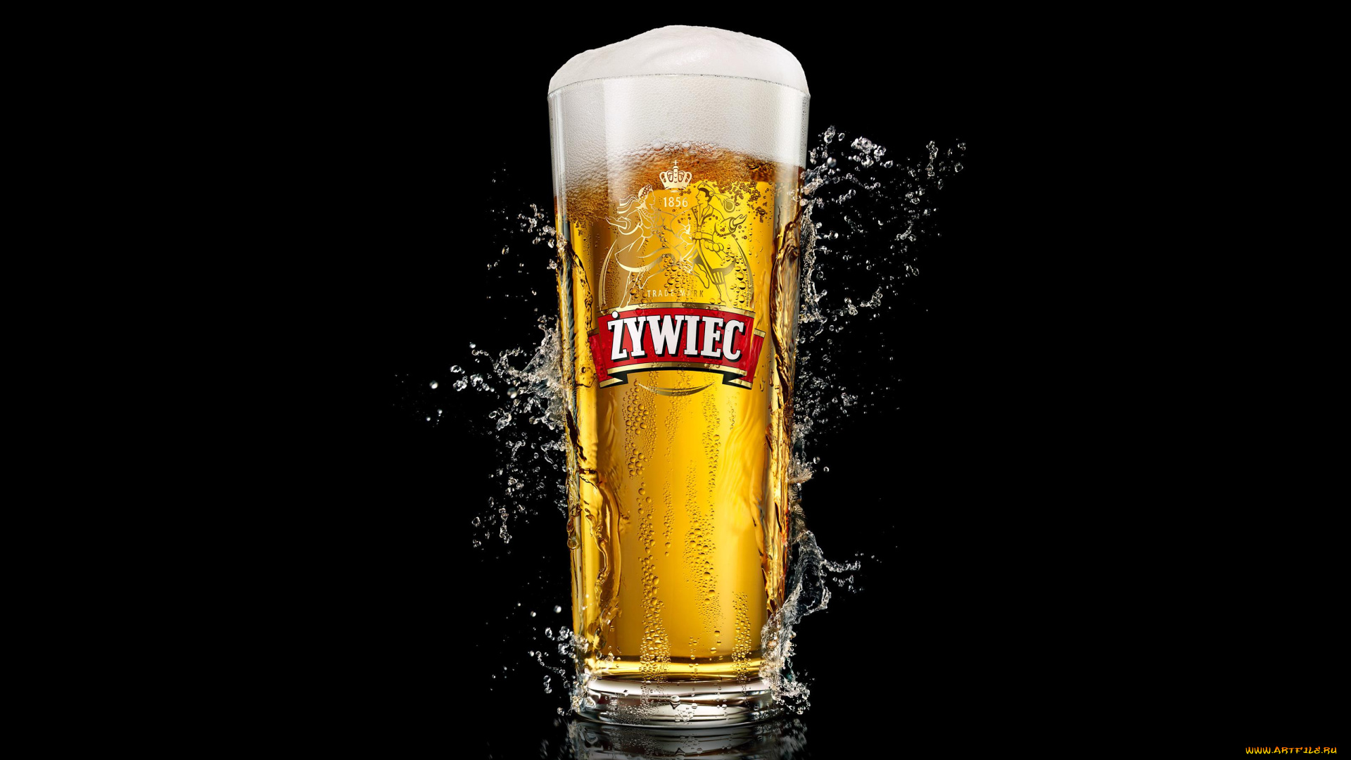 zywiec, бренды, пиво