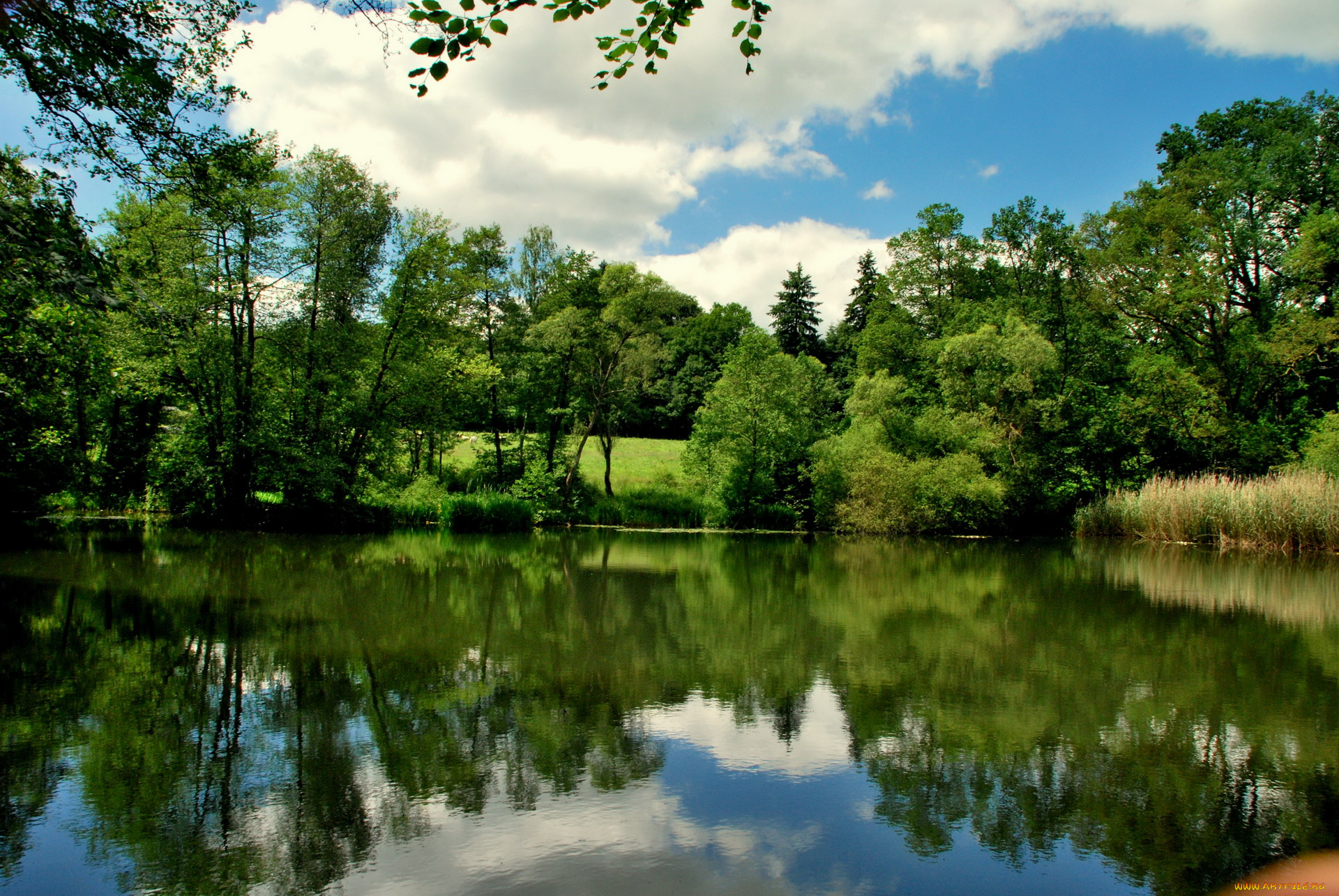 природа, реки, озера, belgium, lake, bierleux