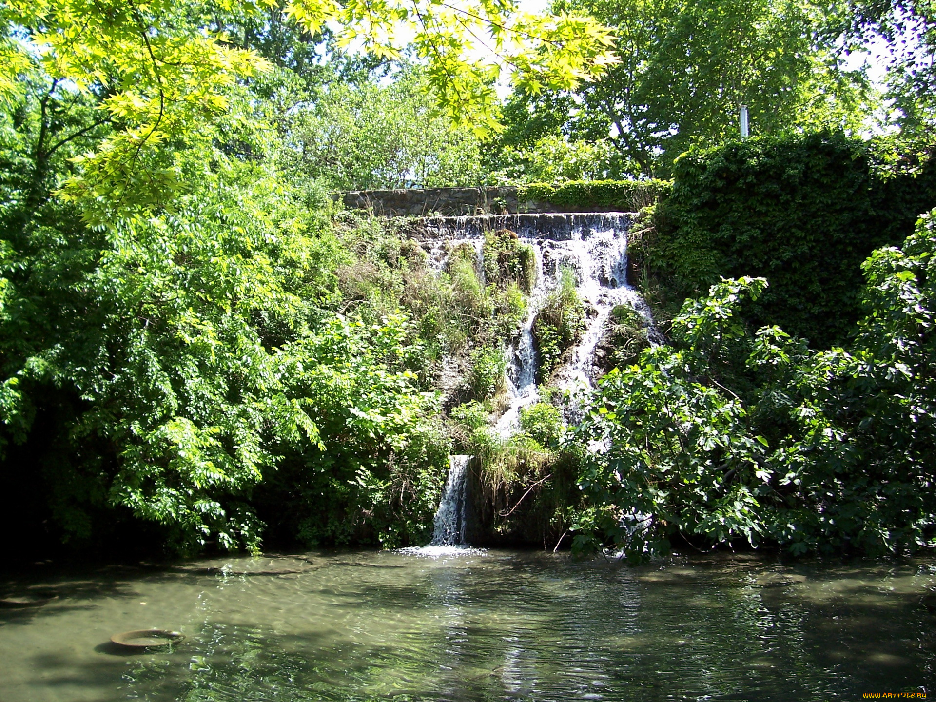 japanese, garden, in, prague, природа, водопады, pragа, водопад, растения
