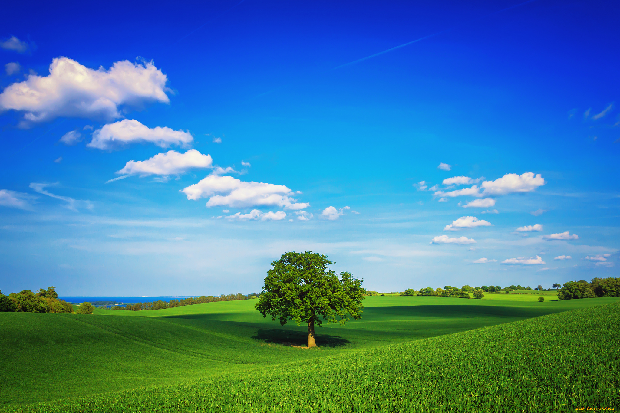 природа, деревья, трава, весна, дерево, зелень, небо, облака