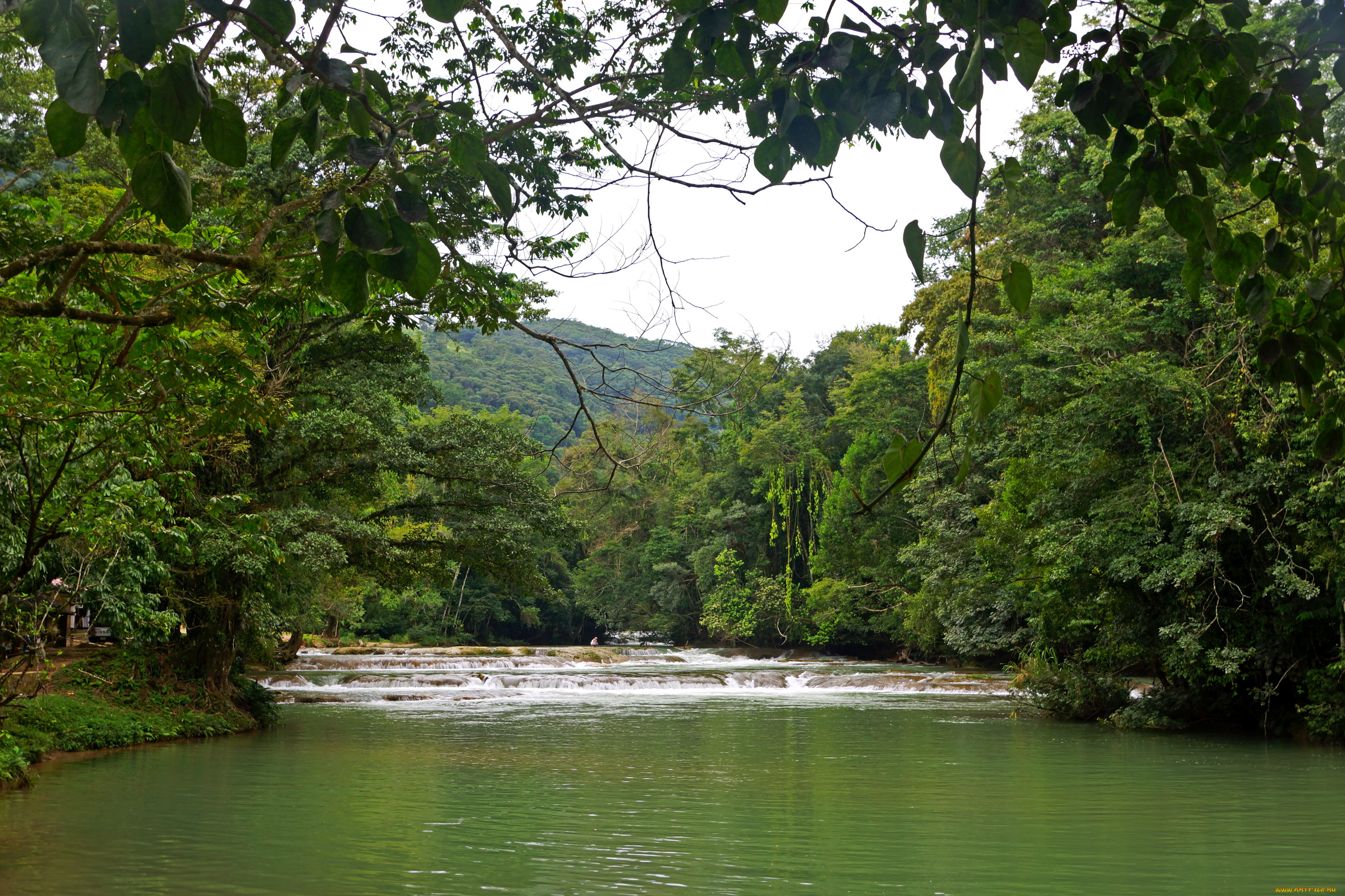 природа, реки, озера, Чьяпас, мексика, agua, azul