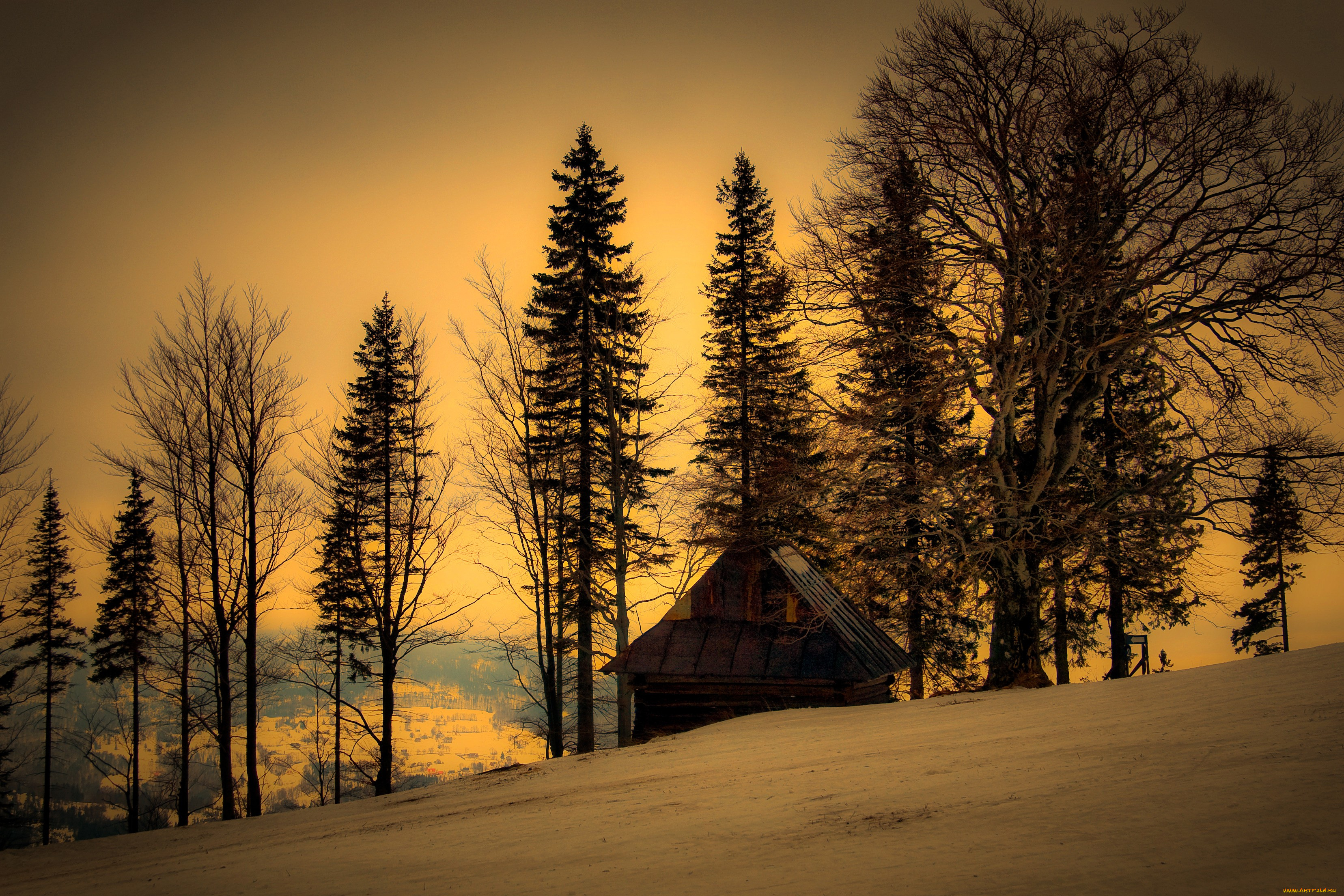 природа, зима, дом, деревья