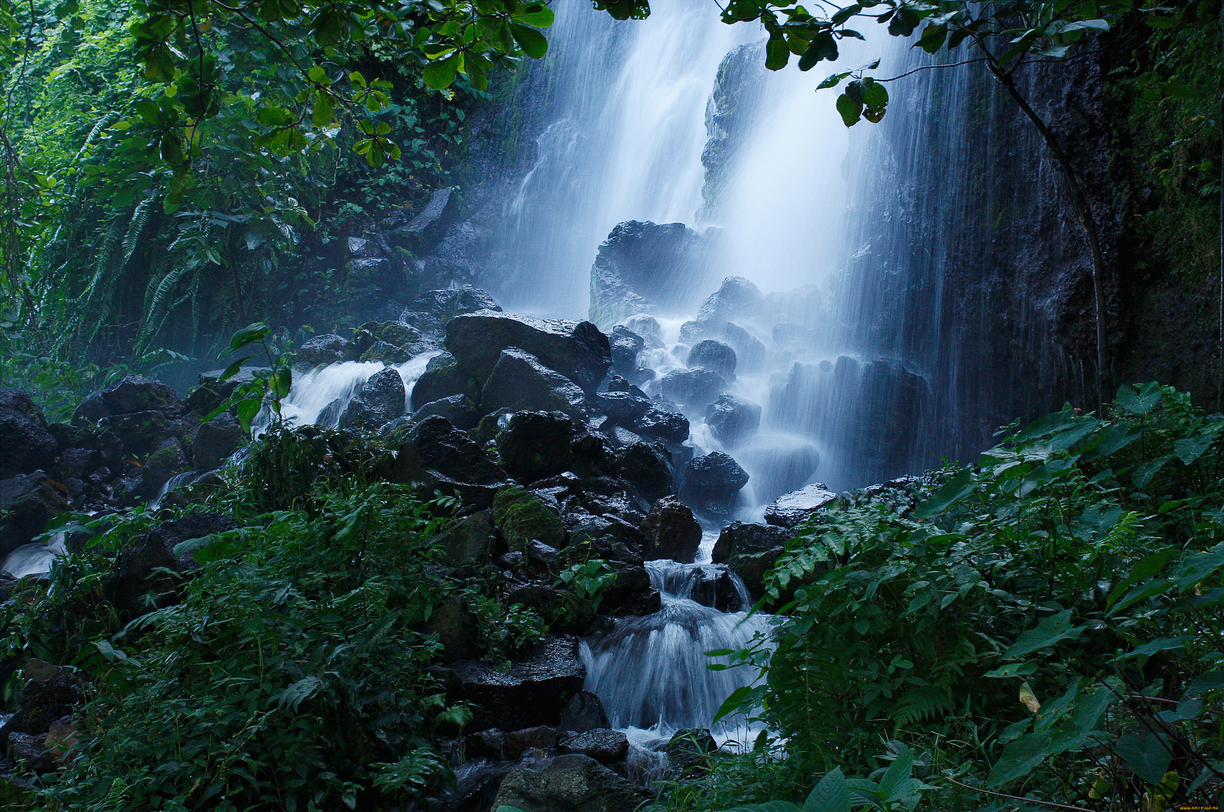 Картинки на заставку. Водопад Мосбрей, США. Водопад в лесу. Лесной водопад. Красивые водопады в джунглях.