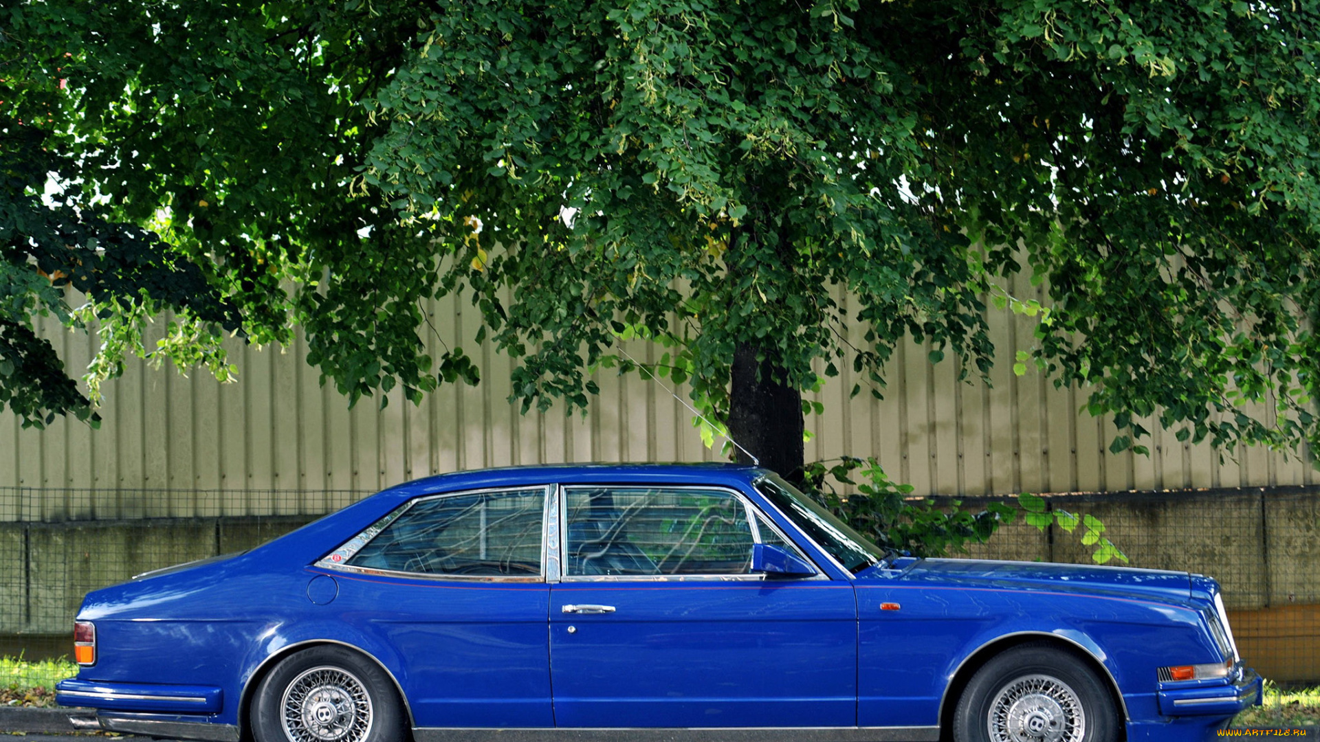 1988, bentley, turbo, empress, ii, sports, saloon, автомобили