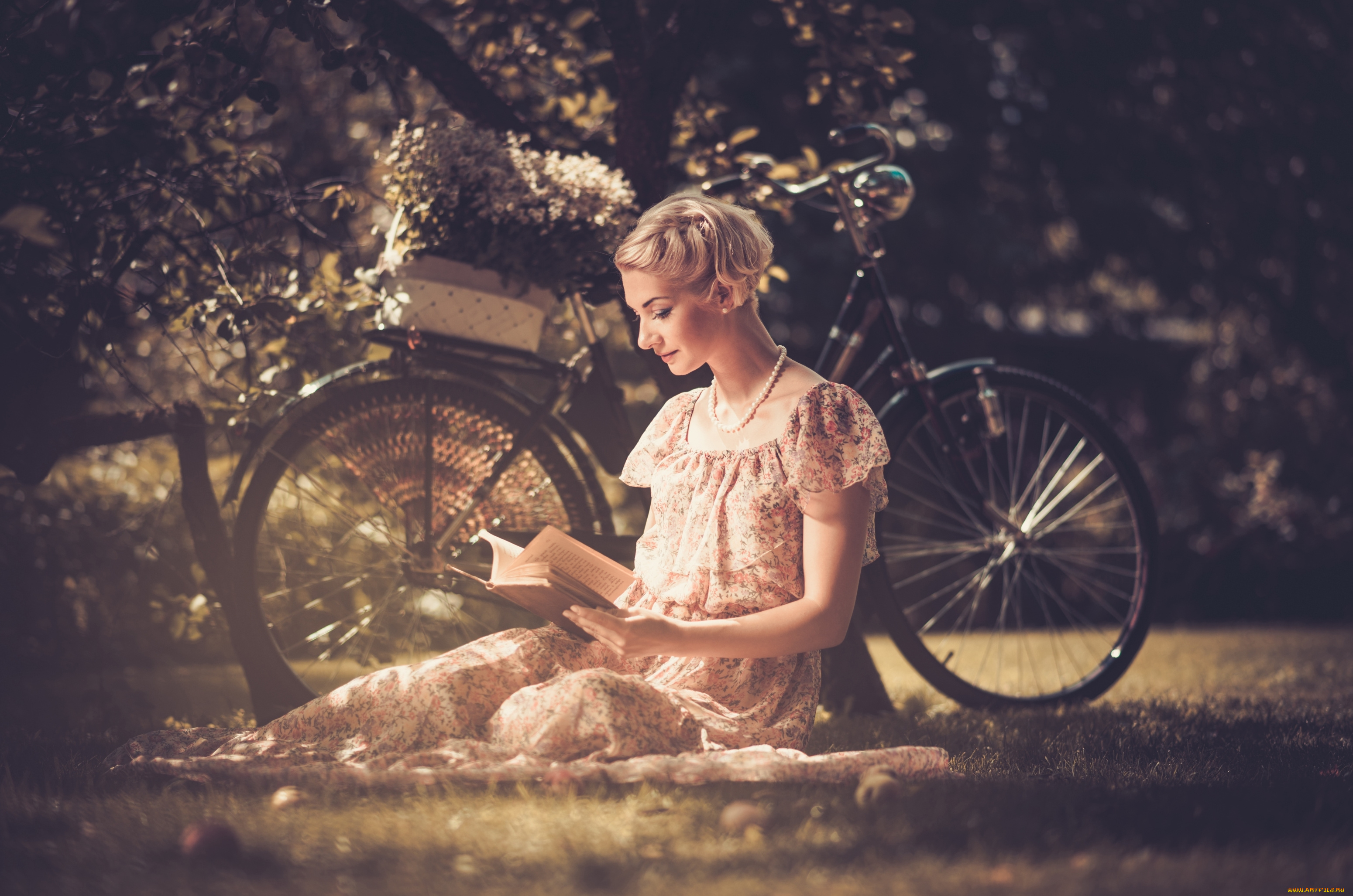 девушки, -unsort, , блондинки, настроение, книга, велосипед