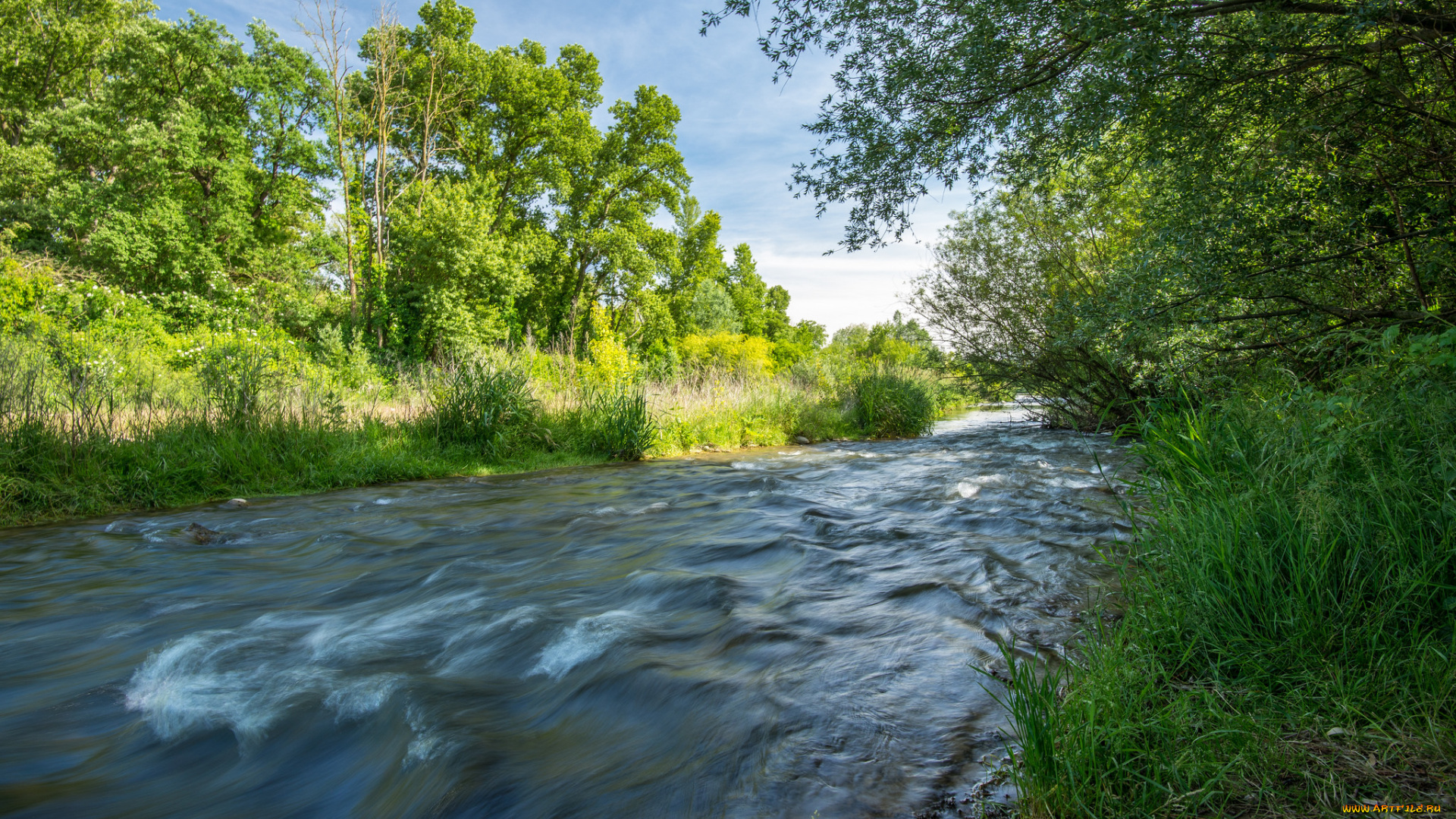 природа, реки, озера, река, лес