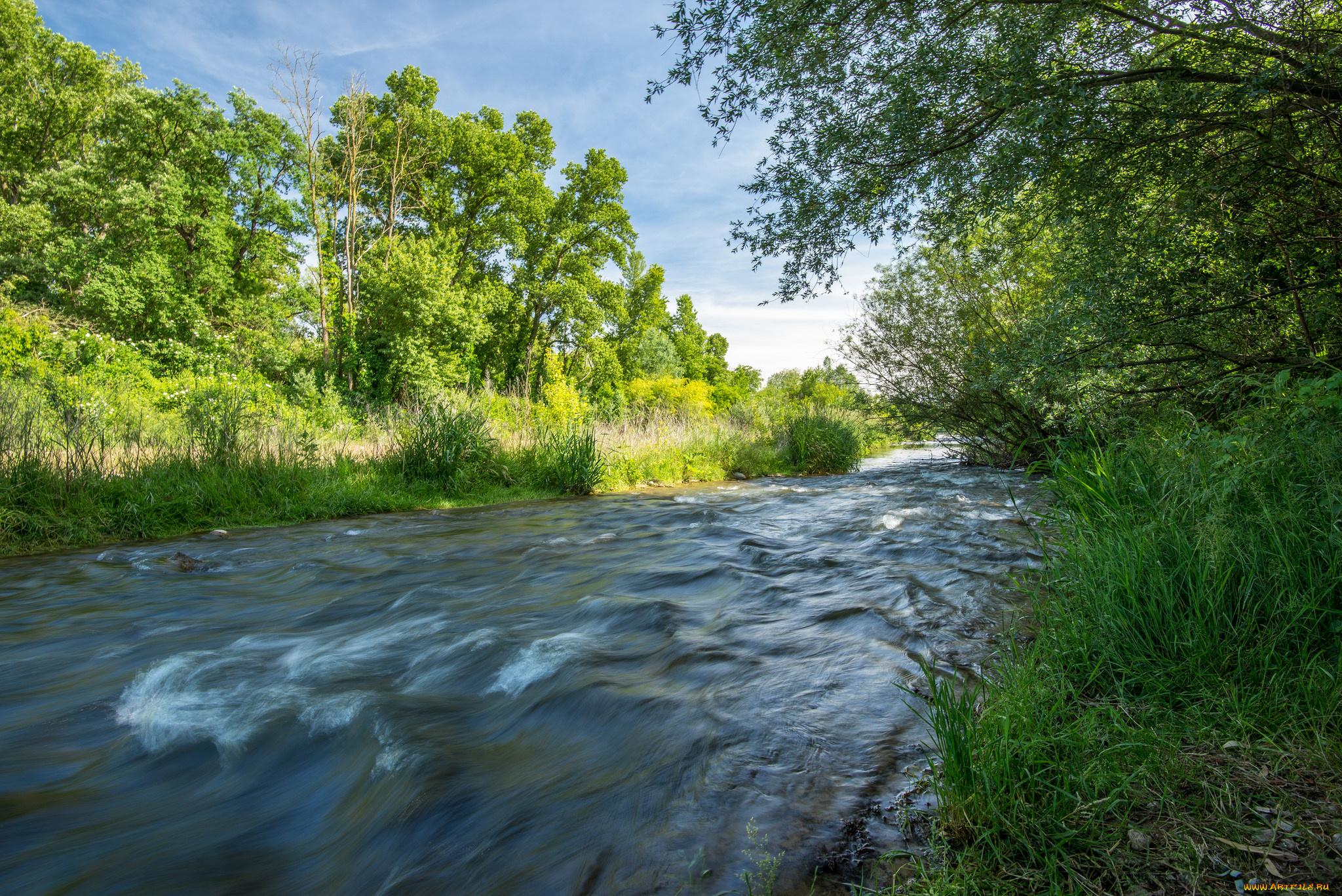 природа, реки, озера, река, лес