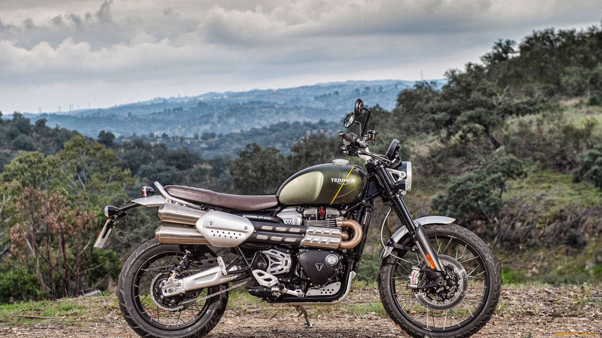 2019, triumph, scrambler, 1200, xc, мотоциклы, triumph, британские, природа