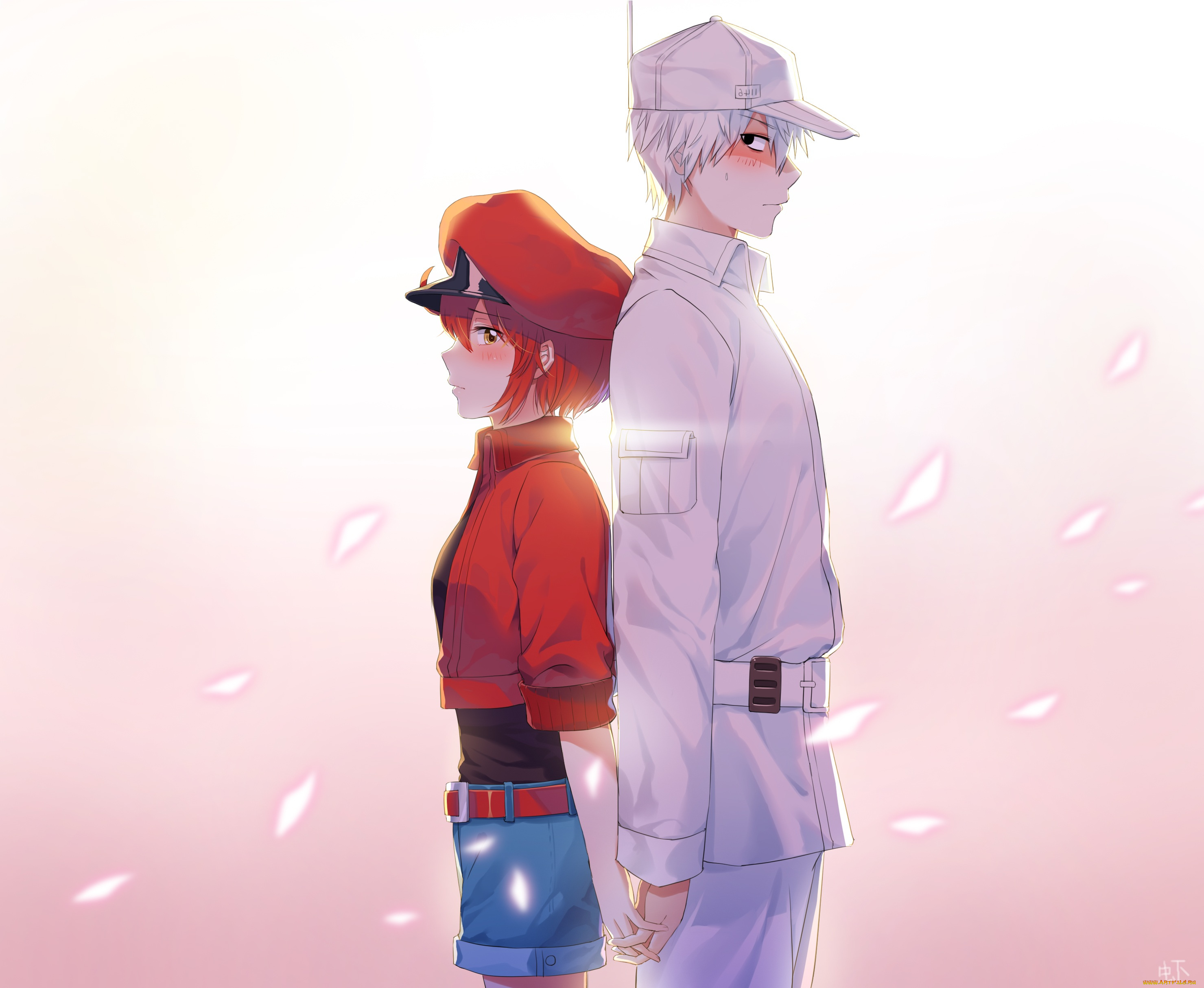 cells, at, work, аниме, hataraku, saibou, , cells, at, work, двое