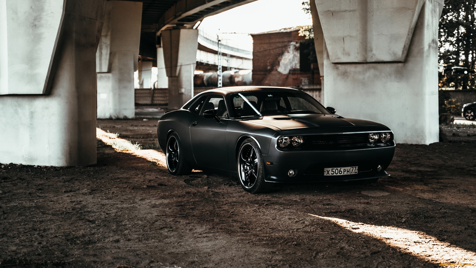 автомобили, dodge, challenger