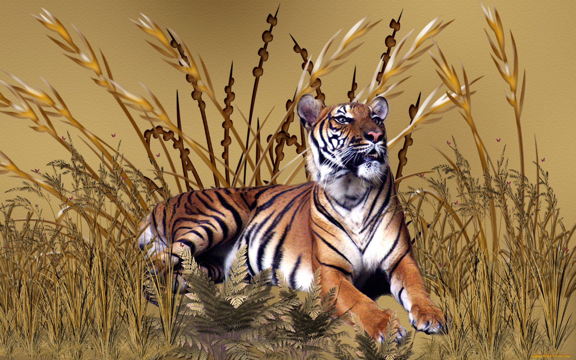 golden, tiger, 3д, графика, animals, животные, трава, тигр, степь