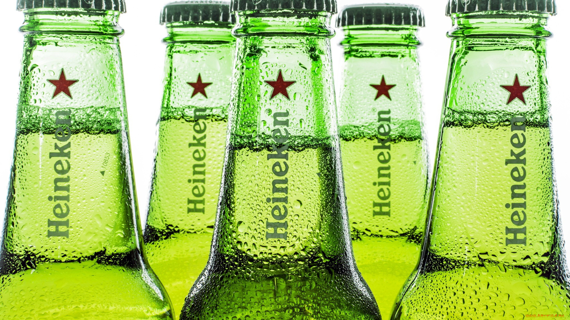 бренды, heineken, пиво