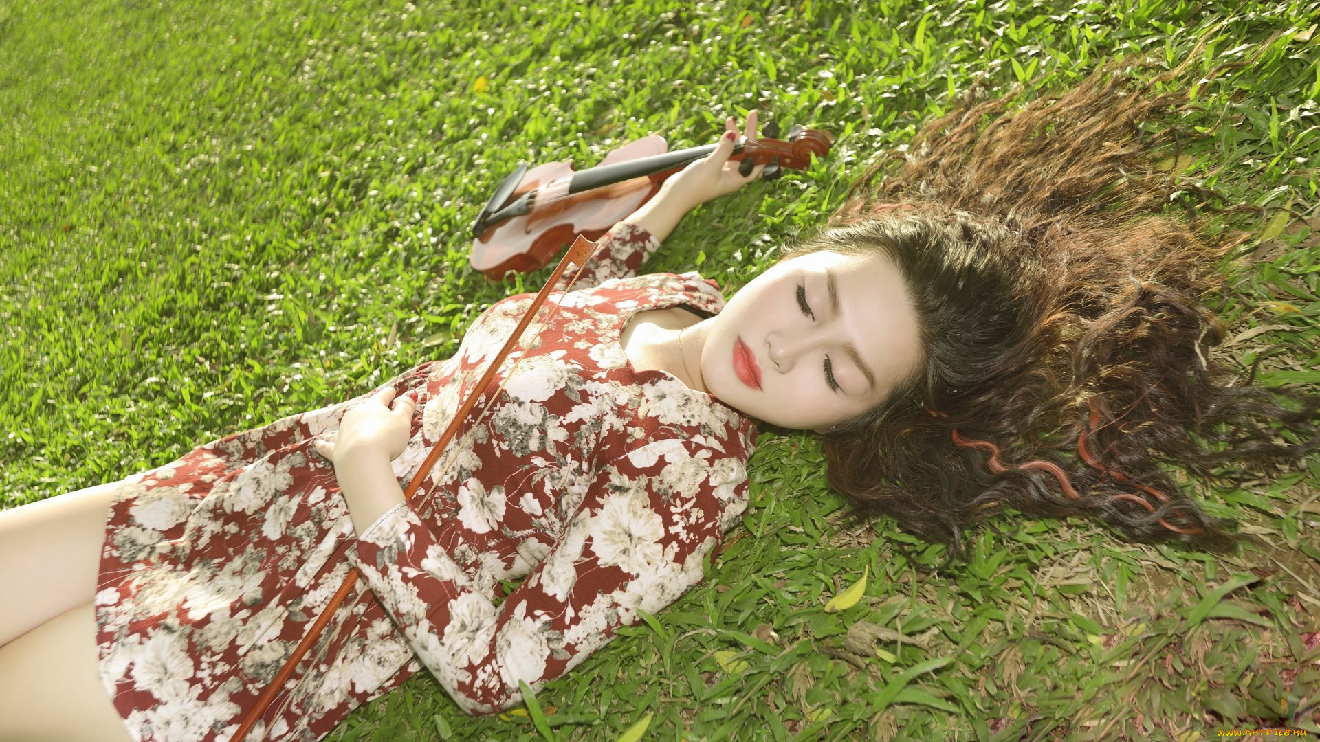 музыка, -другое, девушка, скрипка, трава, природа