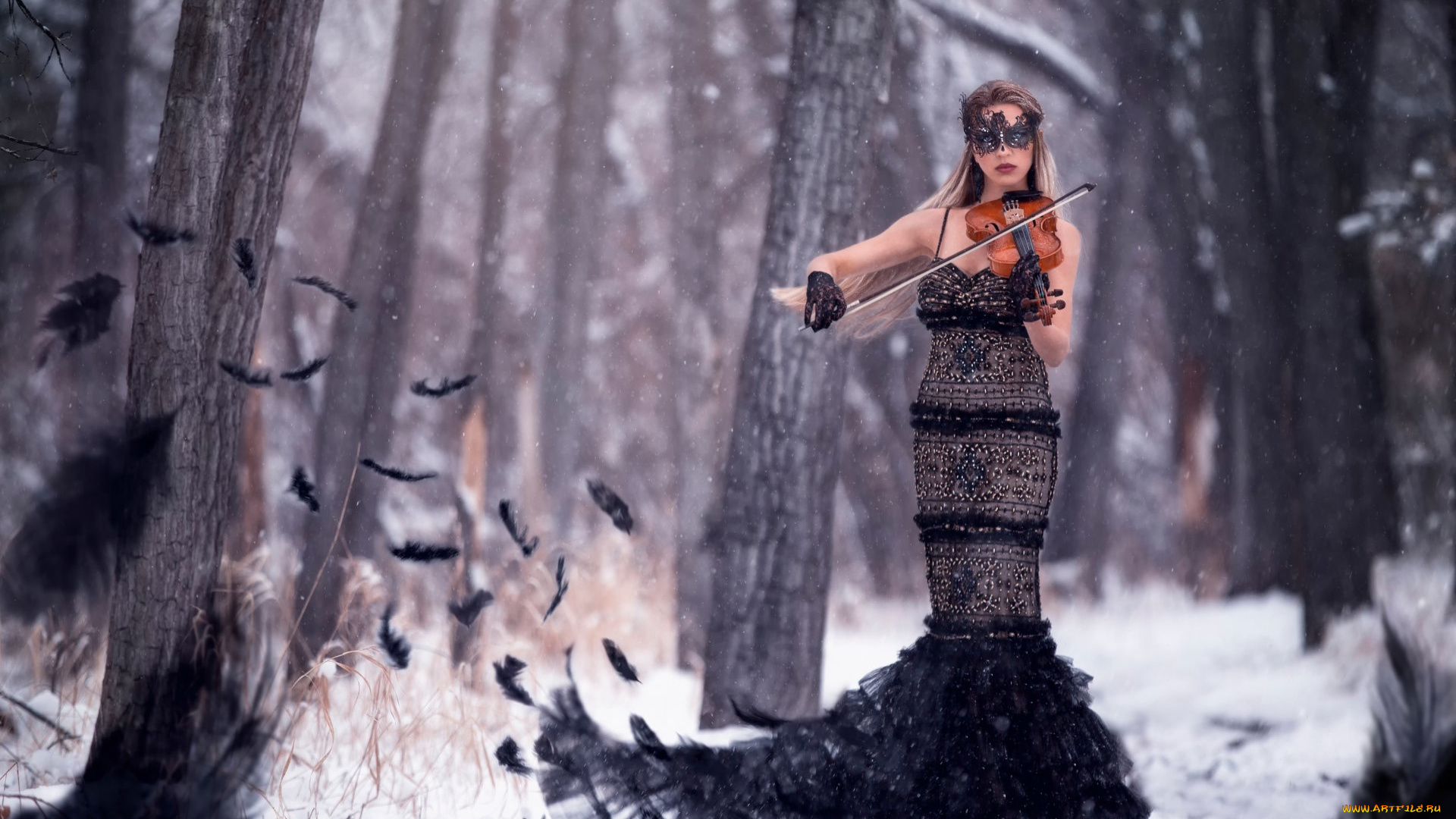 музыка, -другое, скрипка, девушка, природа, перо, маска, снег