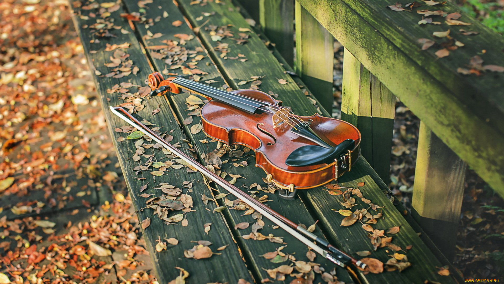 музыка, -музыкальные, инструменты, скамья, скрипка, улица, листья