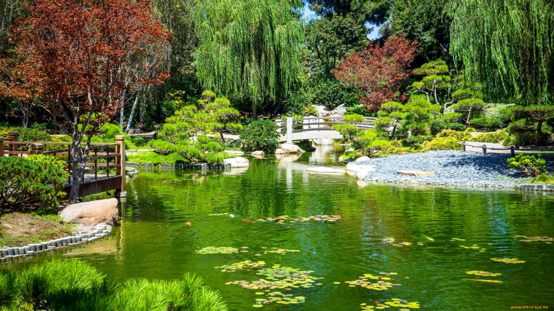 природа, парк, японский, сад