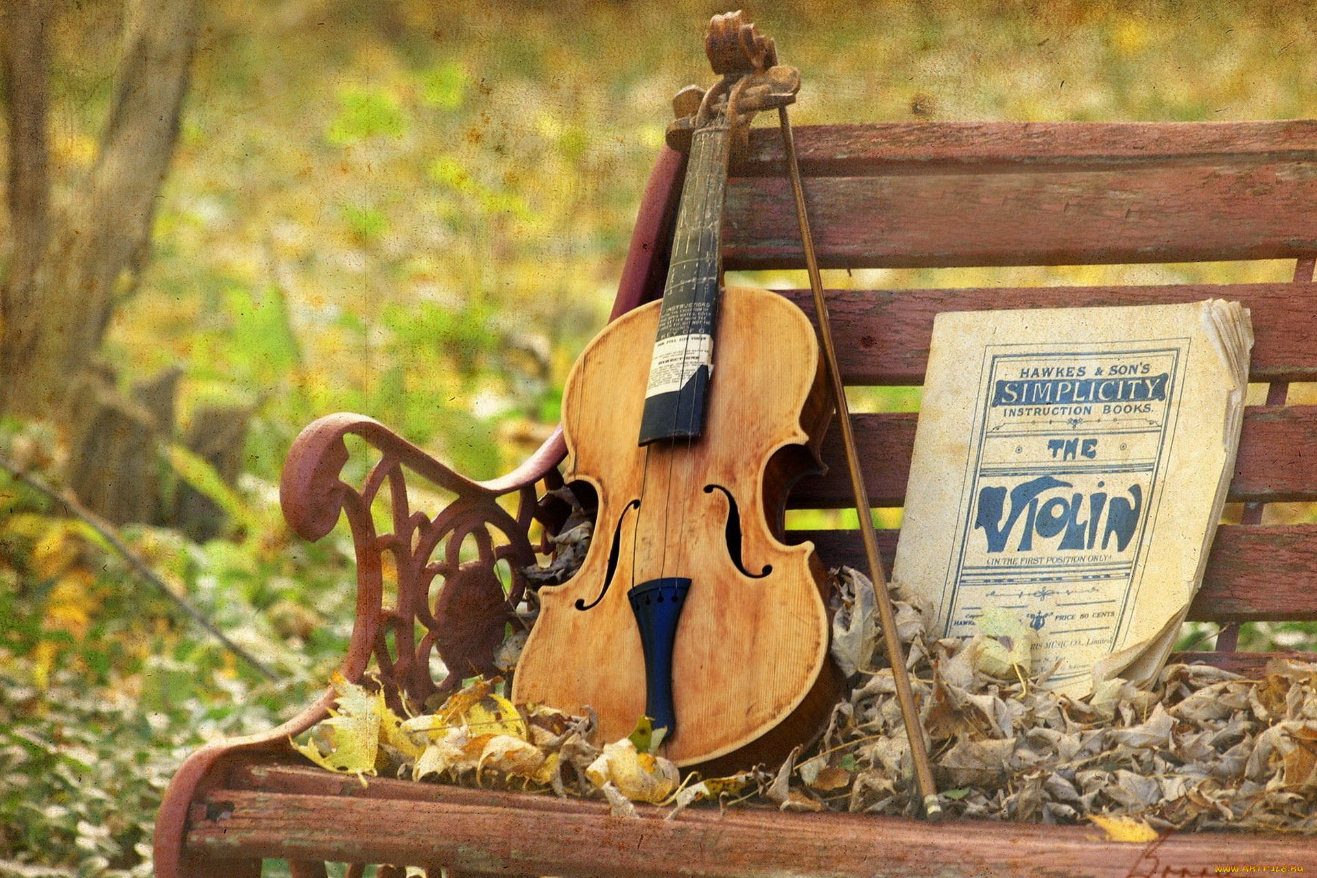 музыка, -музыкальные, инструменты, ноты, скрипка, скамья, листья, улица, скамейка