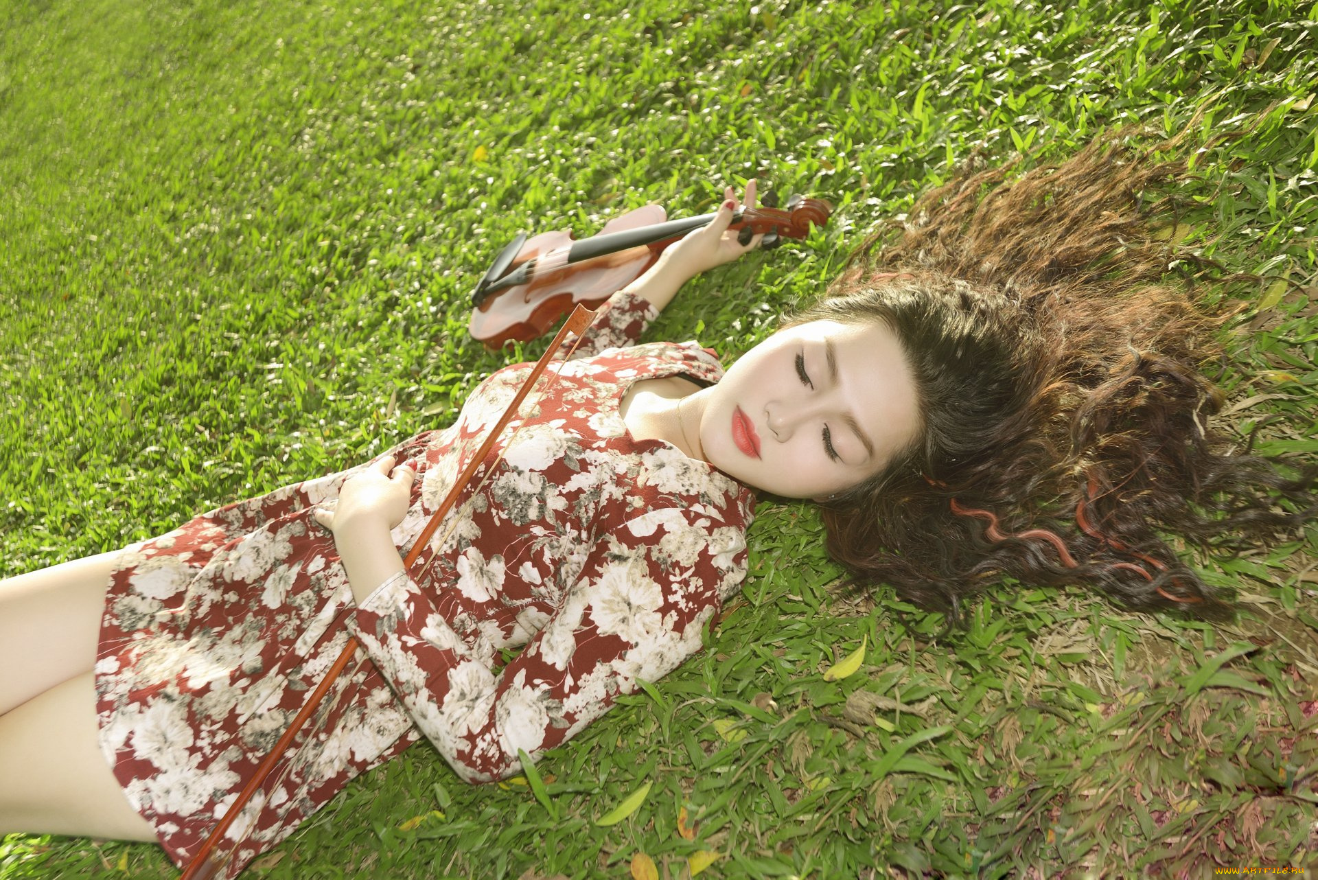 музыка, -другое, девушка, скрипка, трава, природа