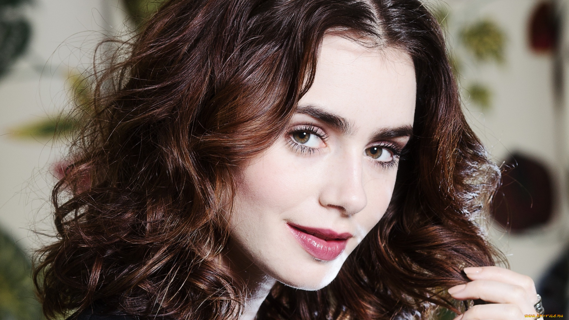 lily, collins, девушки, девушка