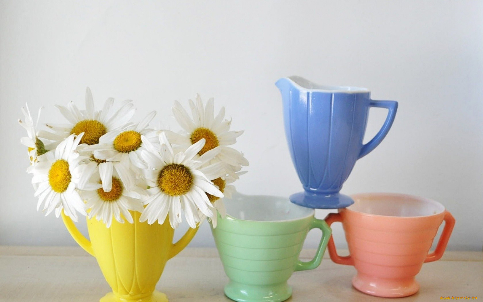 цветы, ромашки, чашки, молочник