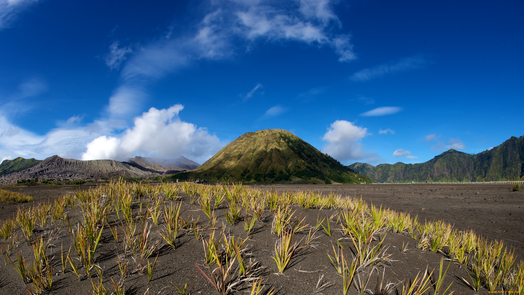 sand, field, природа, поля, пучки, трава, поле, холмы, ограда