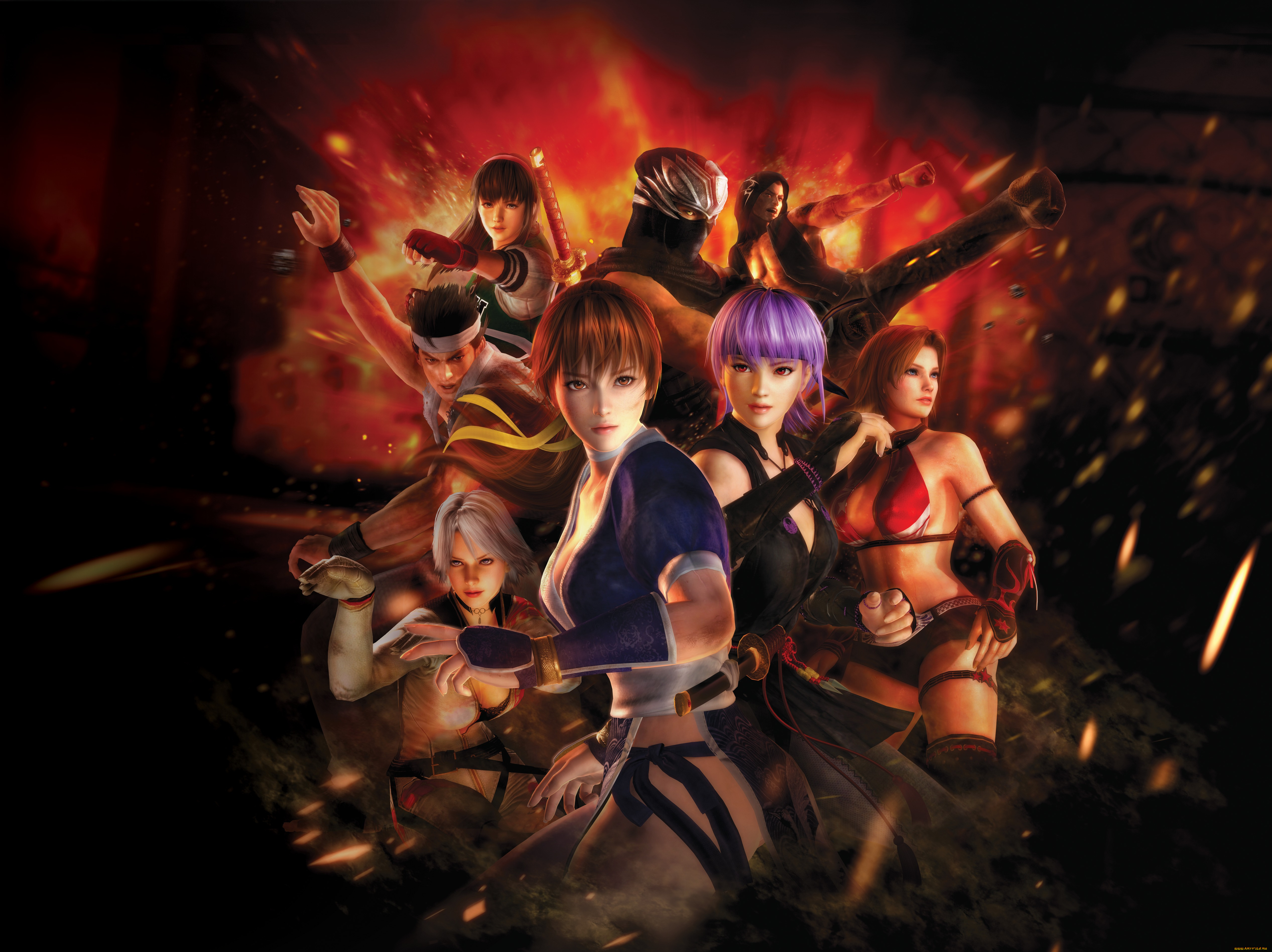 Обои для wallpaper alive. Dead or Alive 5 (Xbox 360). Dead or Alive 5 обои. Kunoichi Dead or Alive. Doa живым или мёртвым аниме.