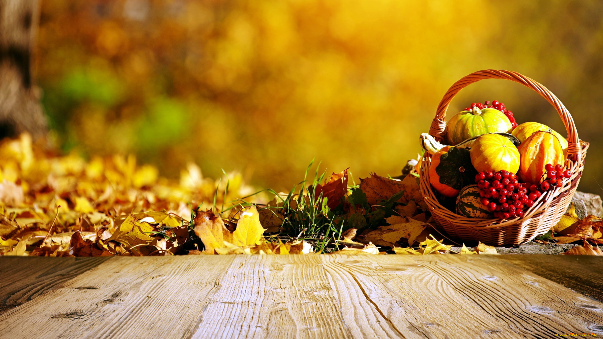 еда, тыква, осень, корзинка, листья