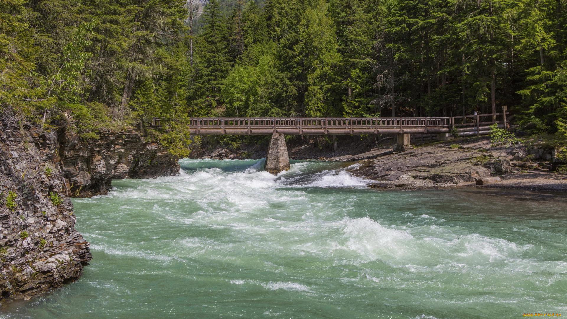 glacier, national, park, , montana, природа, реки, озера, montana, лес, glacier, водопад, река, park